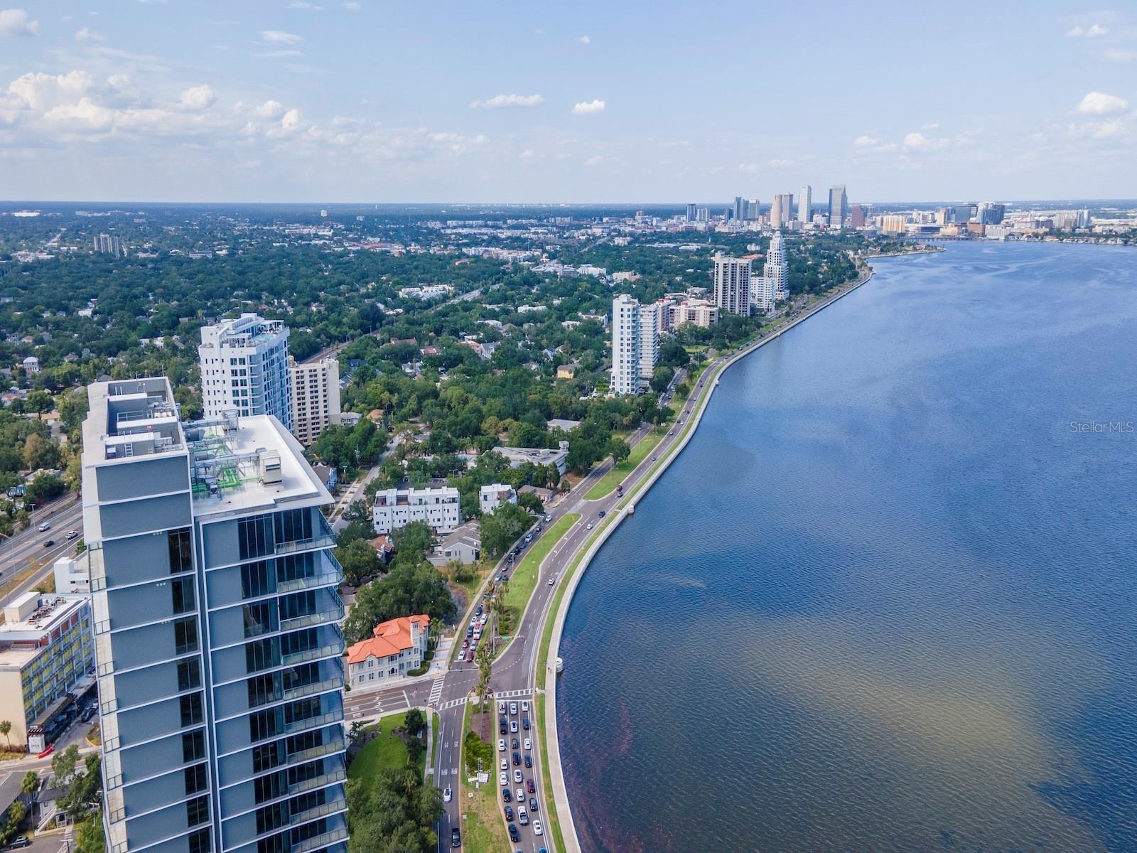 3101 BAYSHORE BLVD #1001