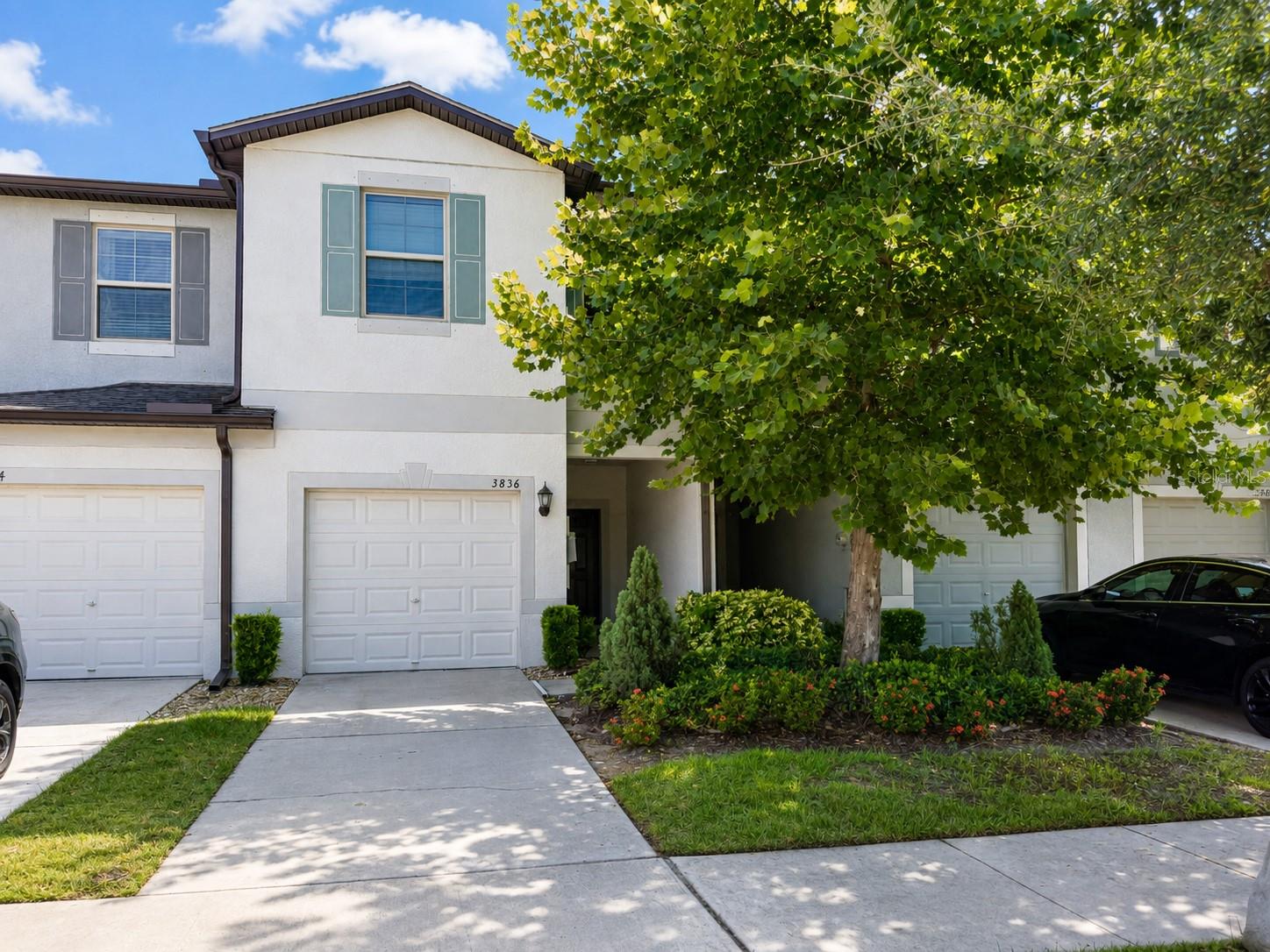 3836 Cat Mint St, Tampa