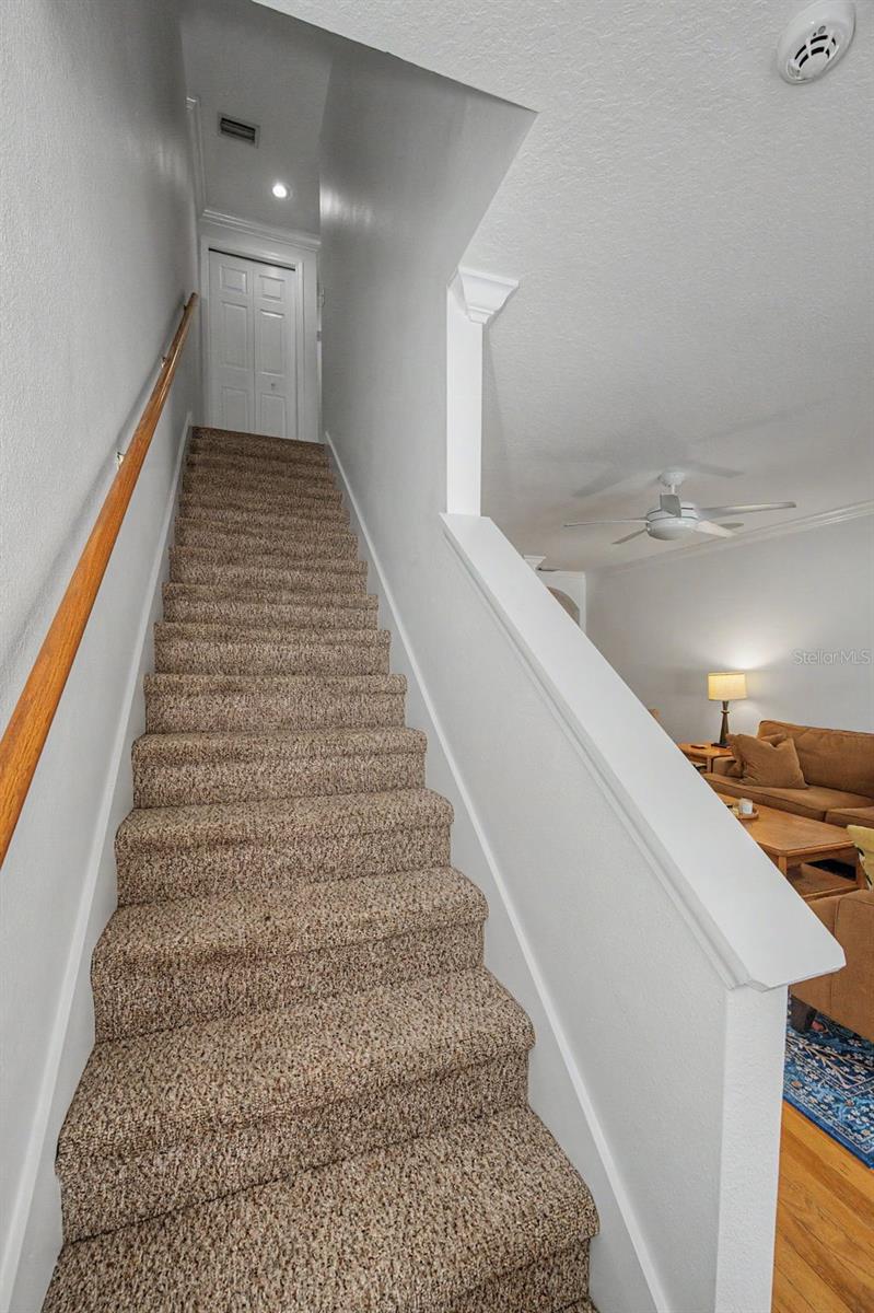4909 ELIZABETH ANNE CIR