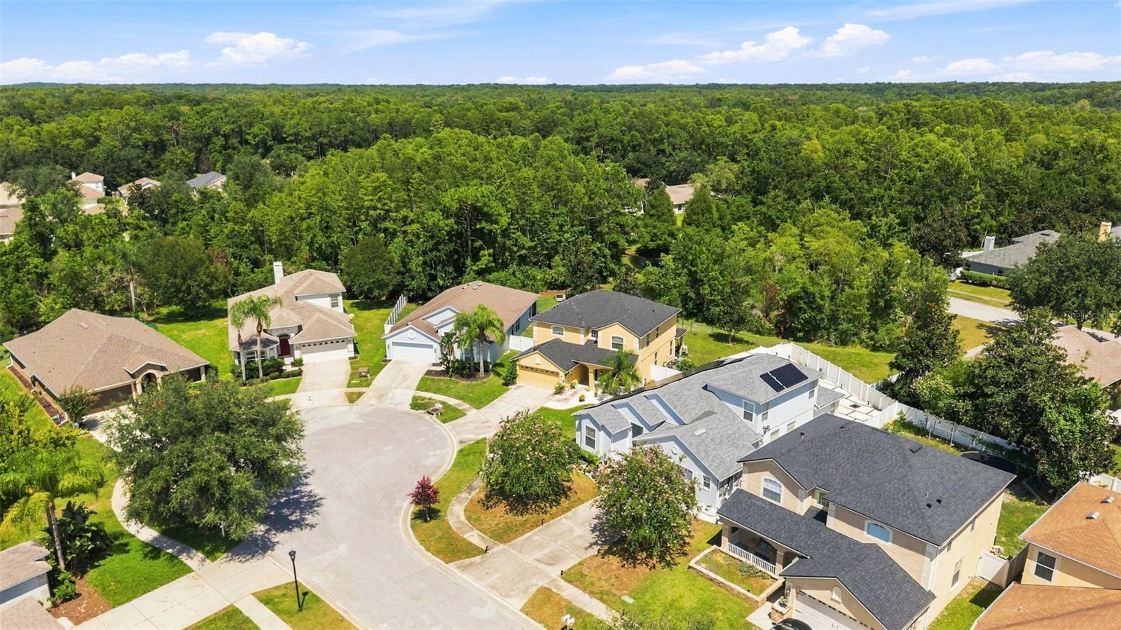 15731 CEDAR ELM TER