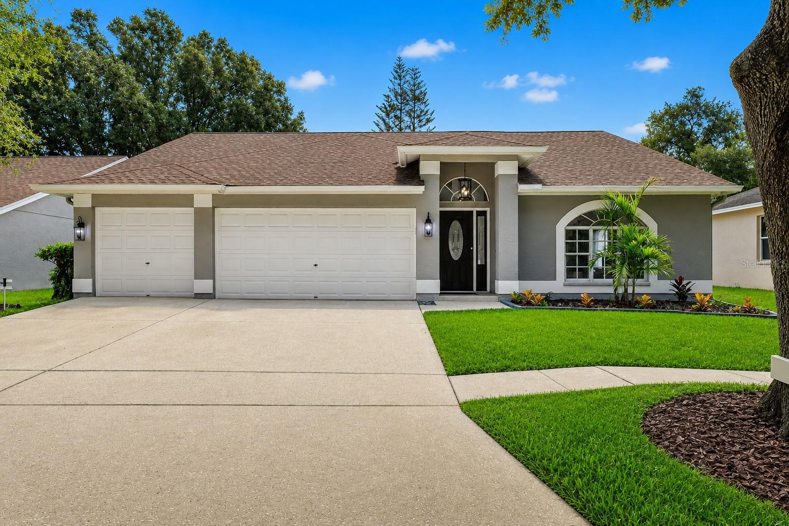 17721 Hampshire Oak Dr, Tampa