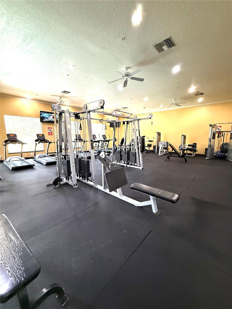 1810 E PALM AVE #5119