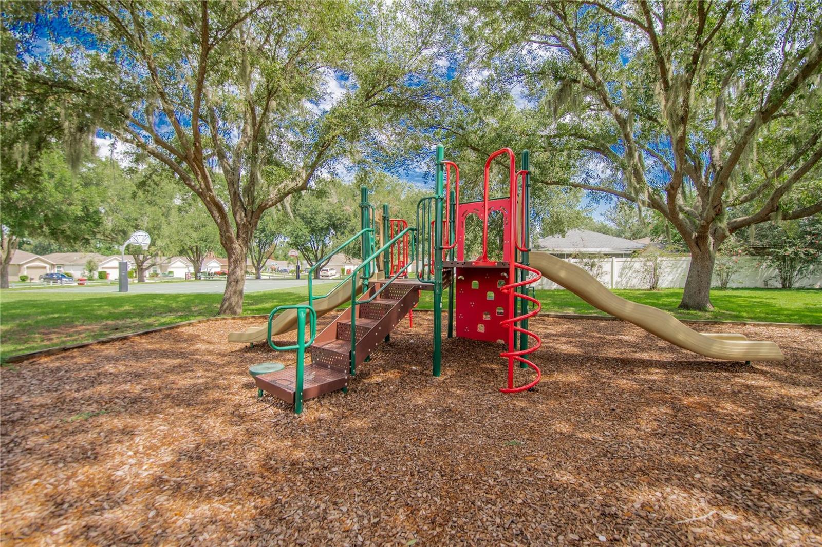 535 SCARLET MAPLE CT