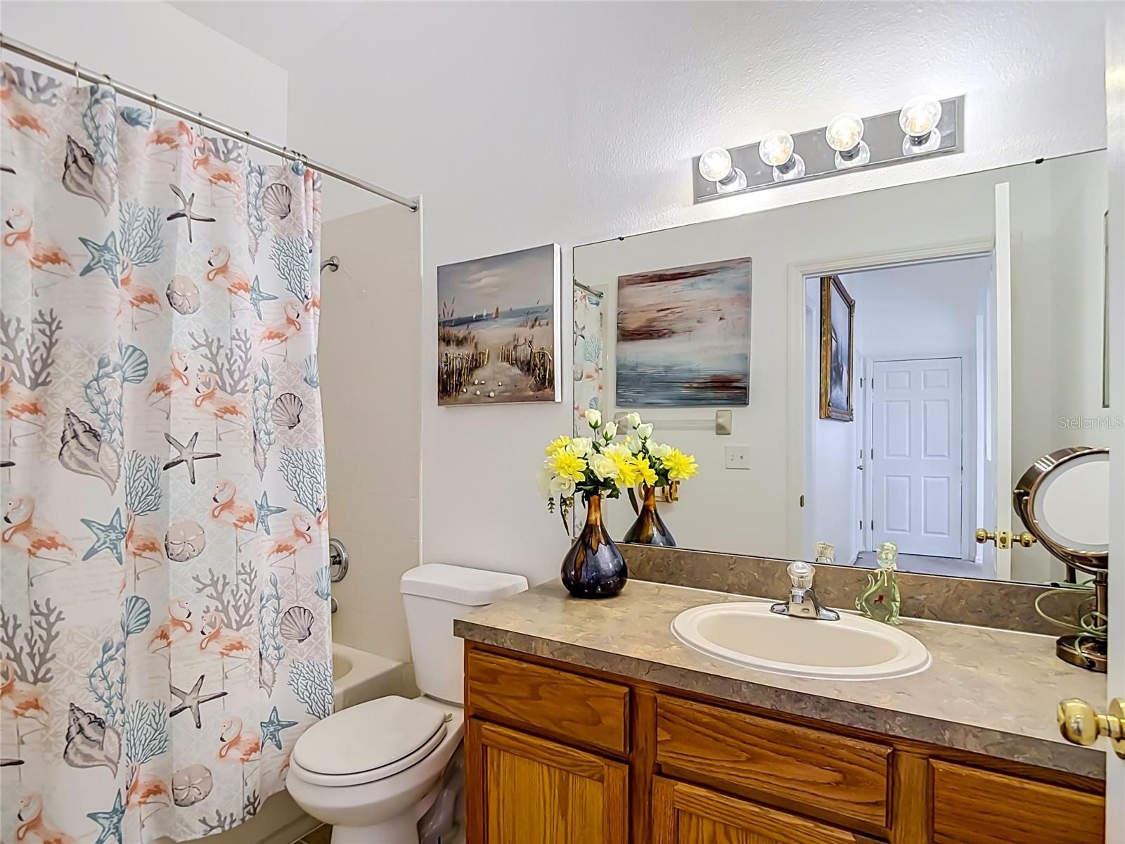 24443 SUMMER WIND CT
