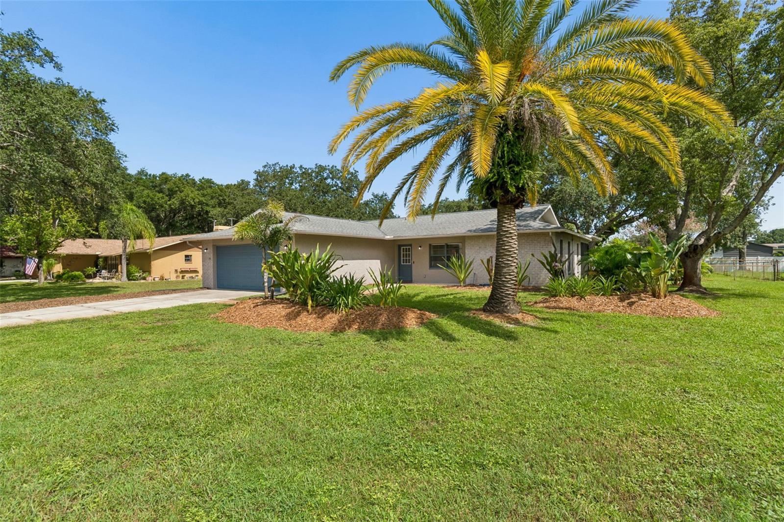 9329 AMAZON DR