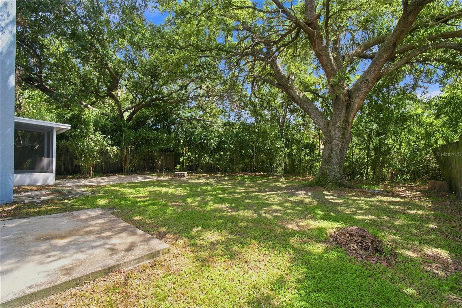 13417 BEECHBERRY DR