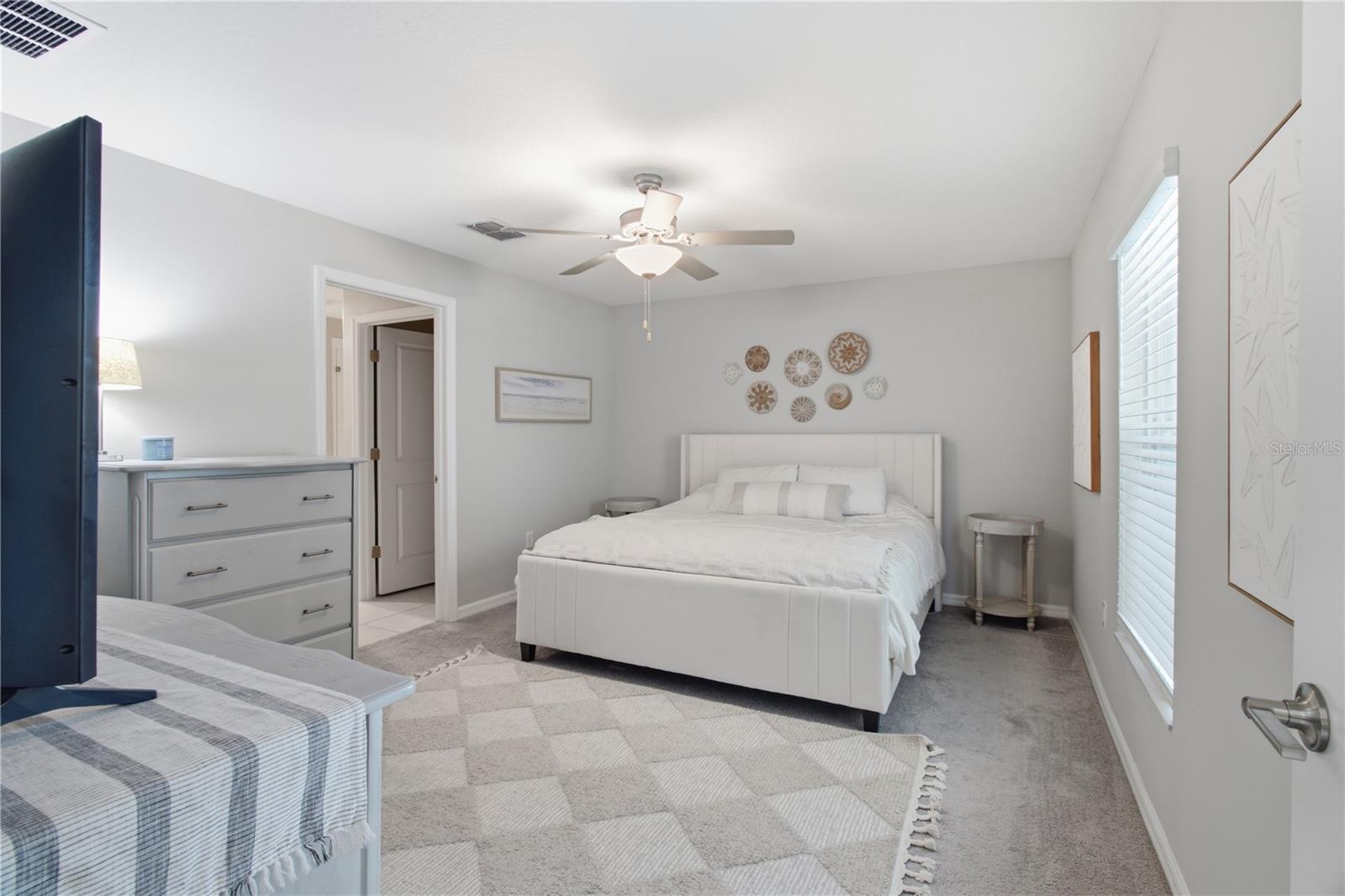 10331 BLUE PLUME CT