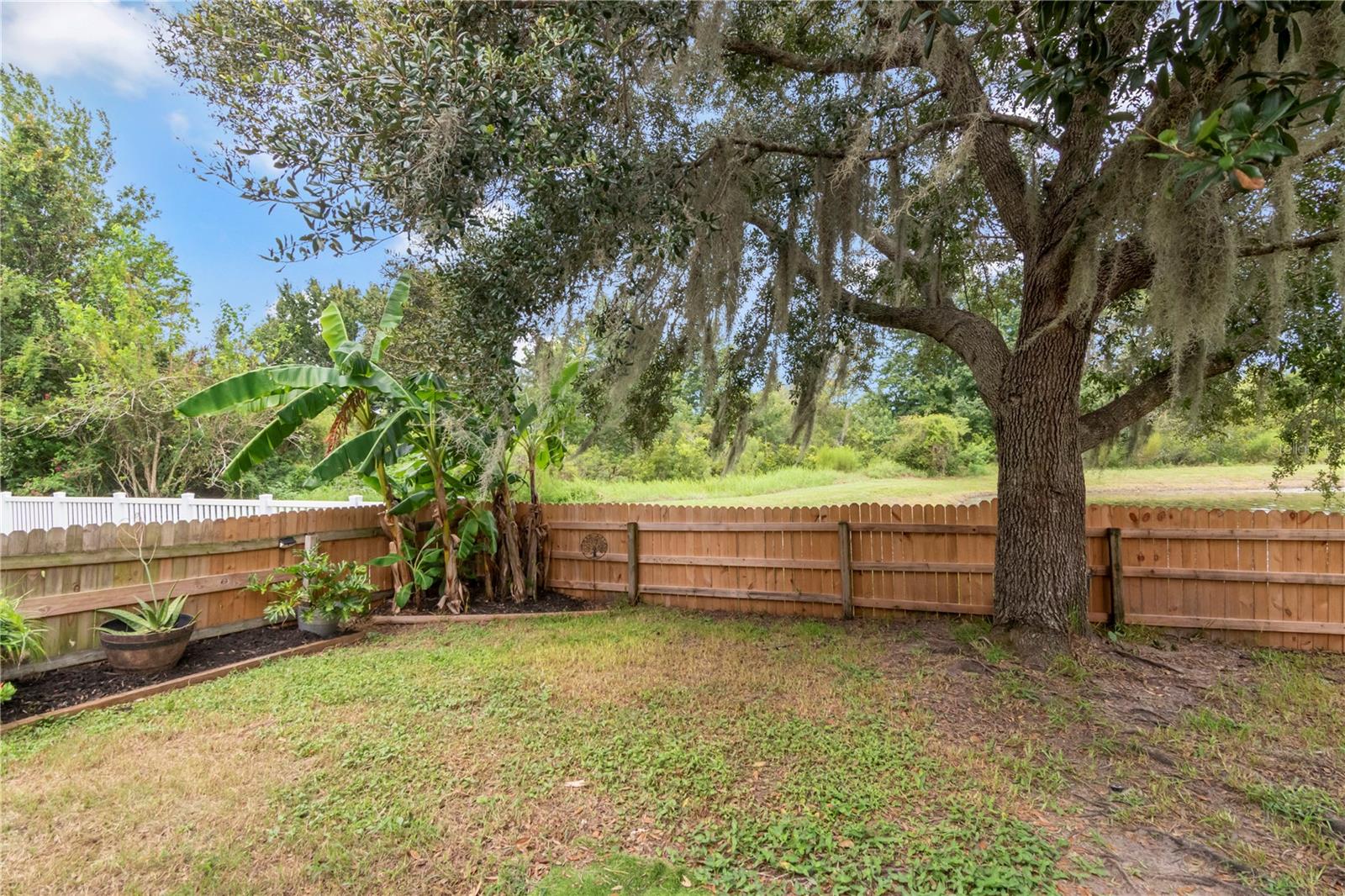19604 TIMBERBLUFF DR
