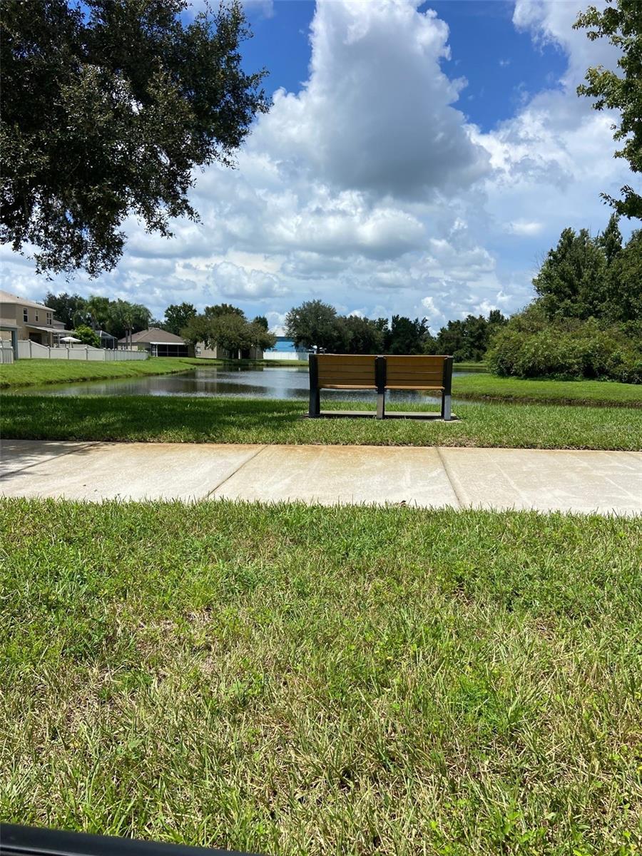 19604 TIMBERBLUFF DR