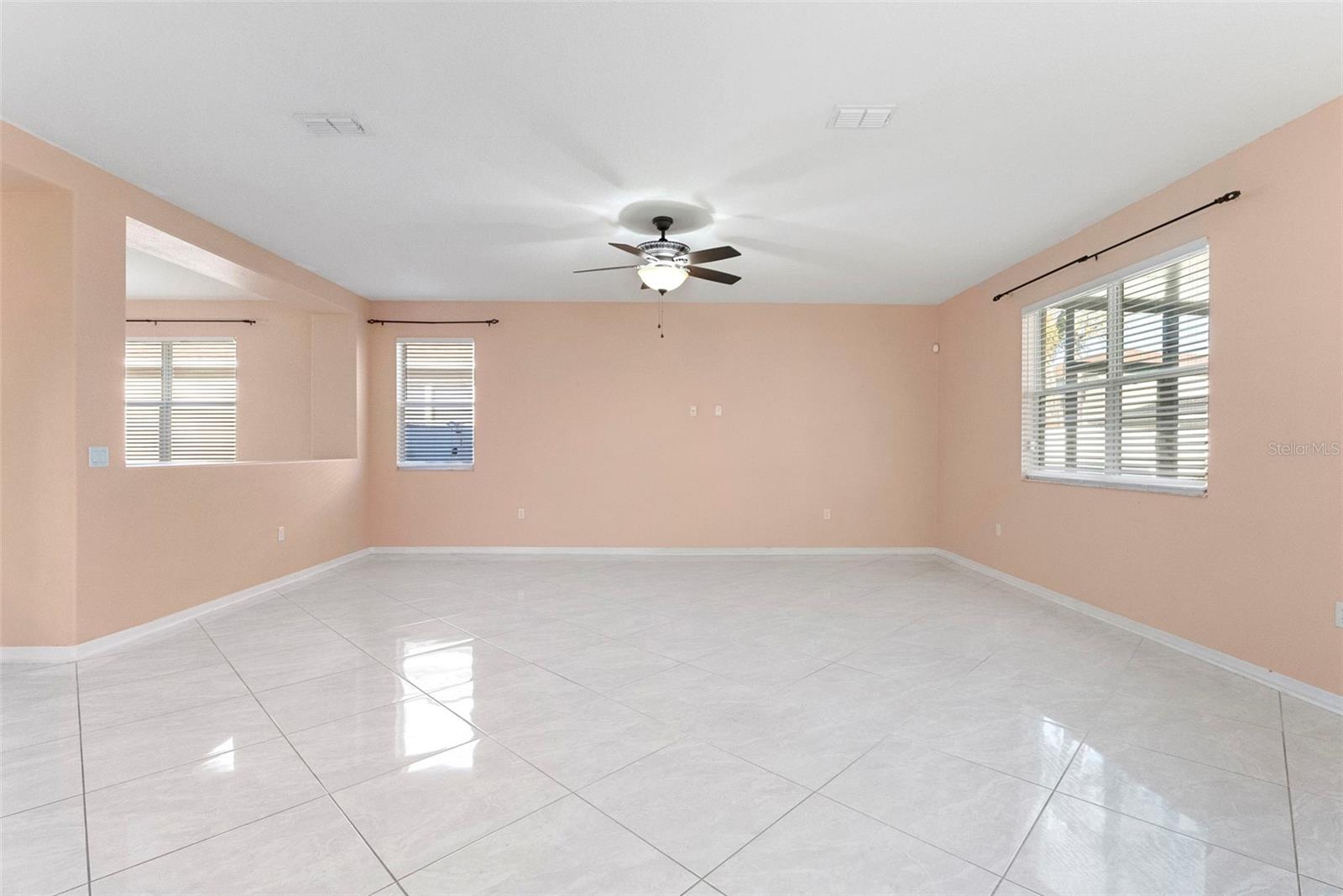 11114 HARTFORD FERN DR