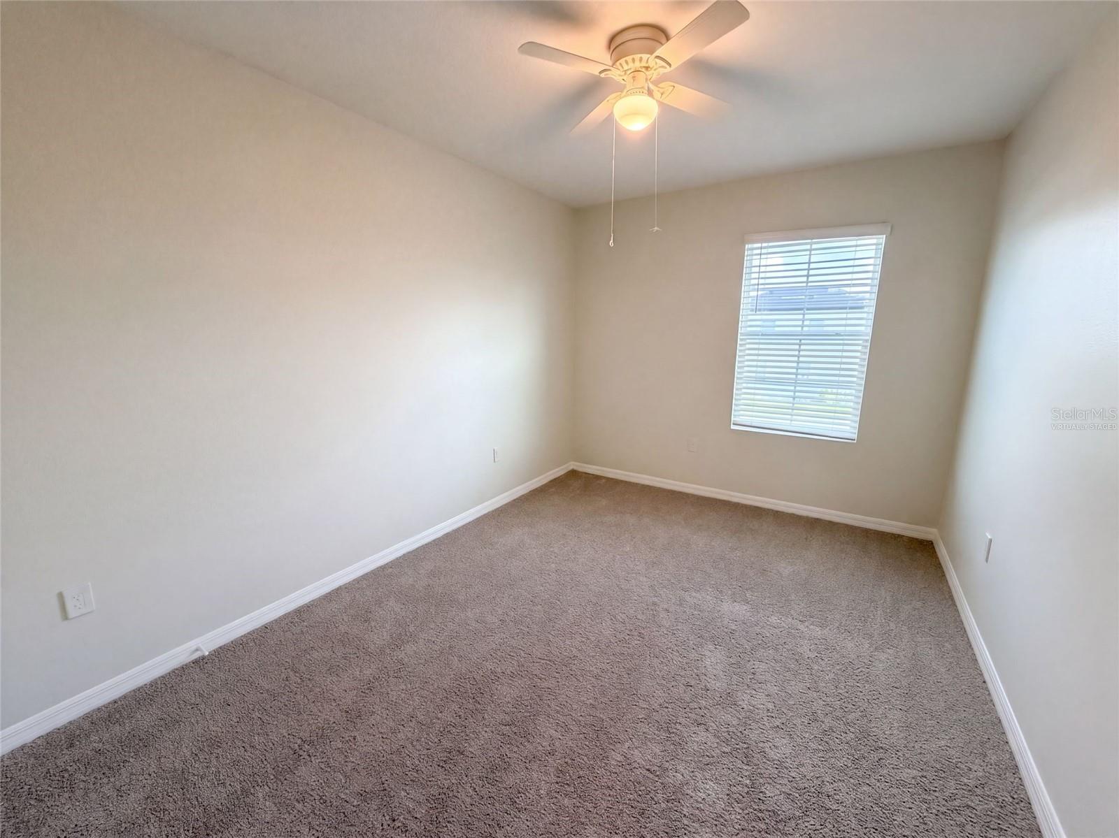 16176 SOFT FERN TRCE