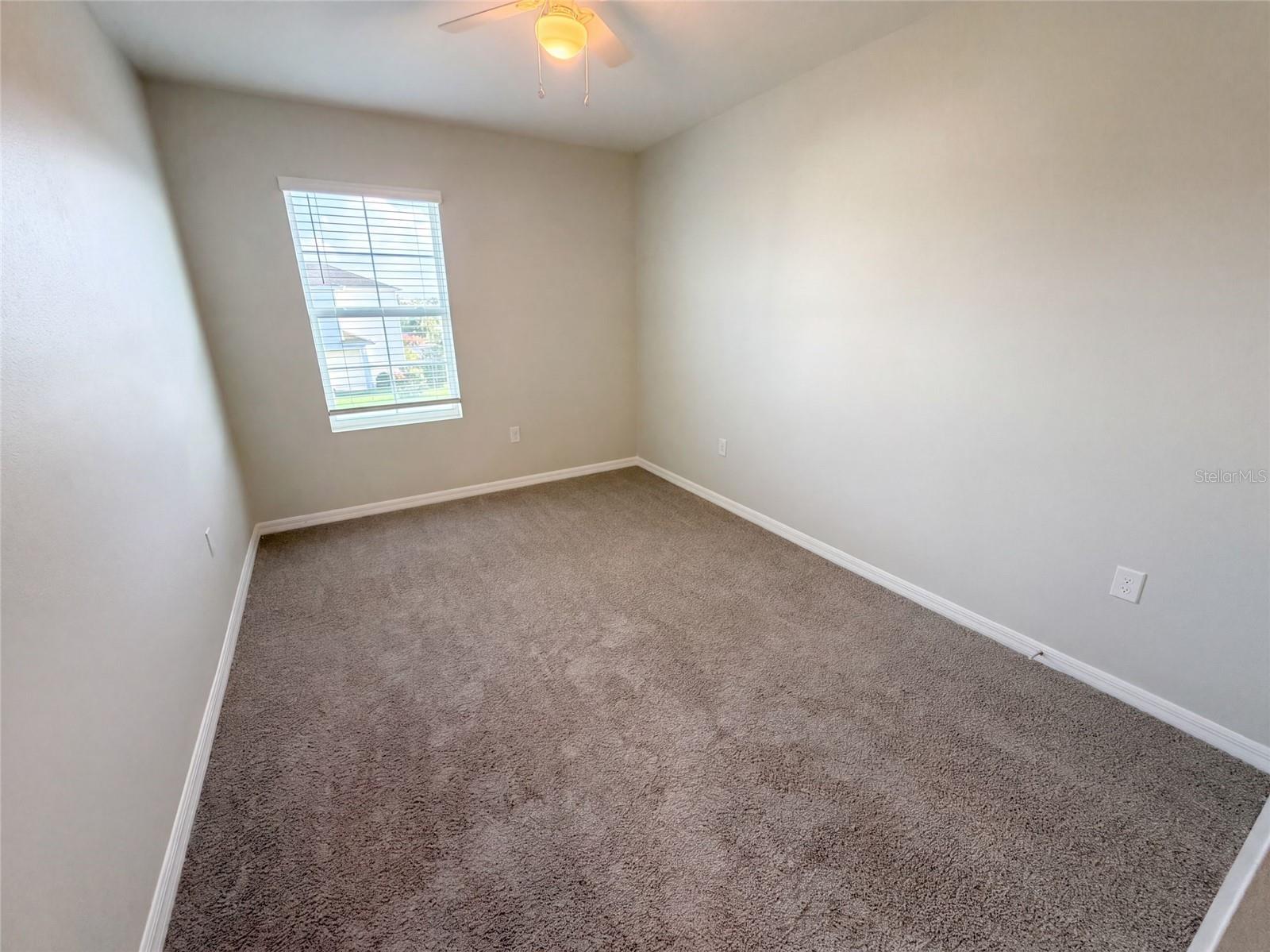 16176 SOFT FERN TRCE