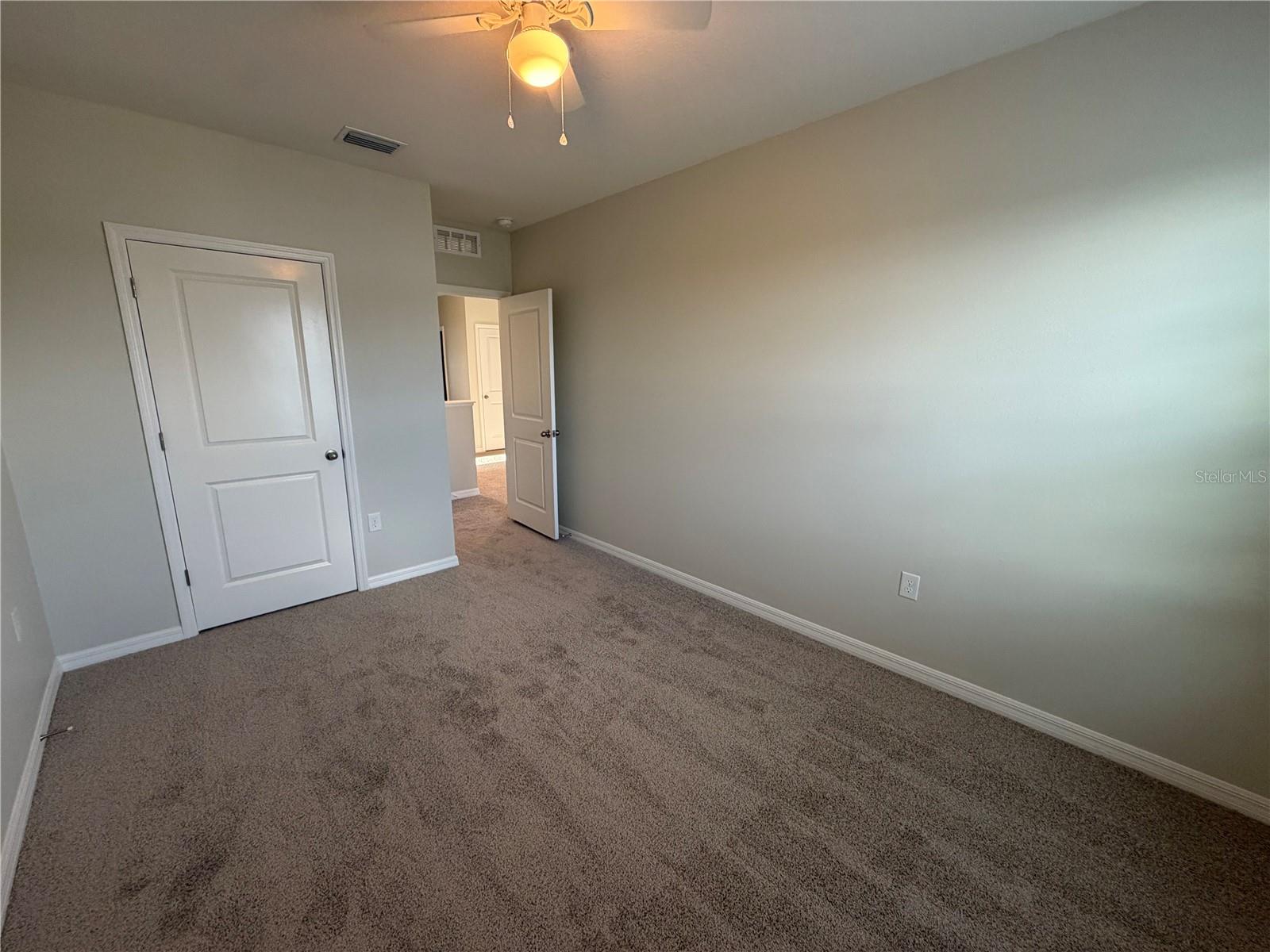 16176 SOFT FERN TRCE
