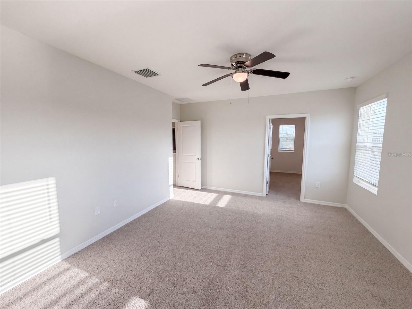 16176 SOFT FERN TRCE