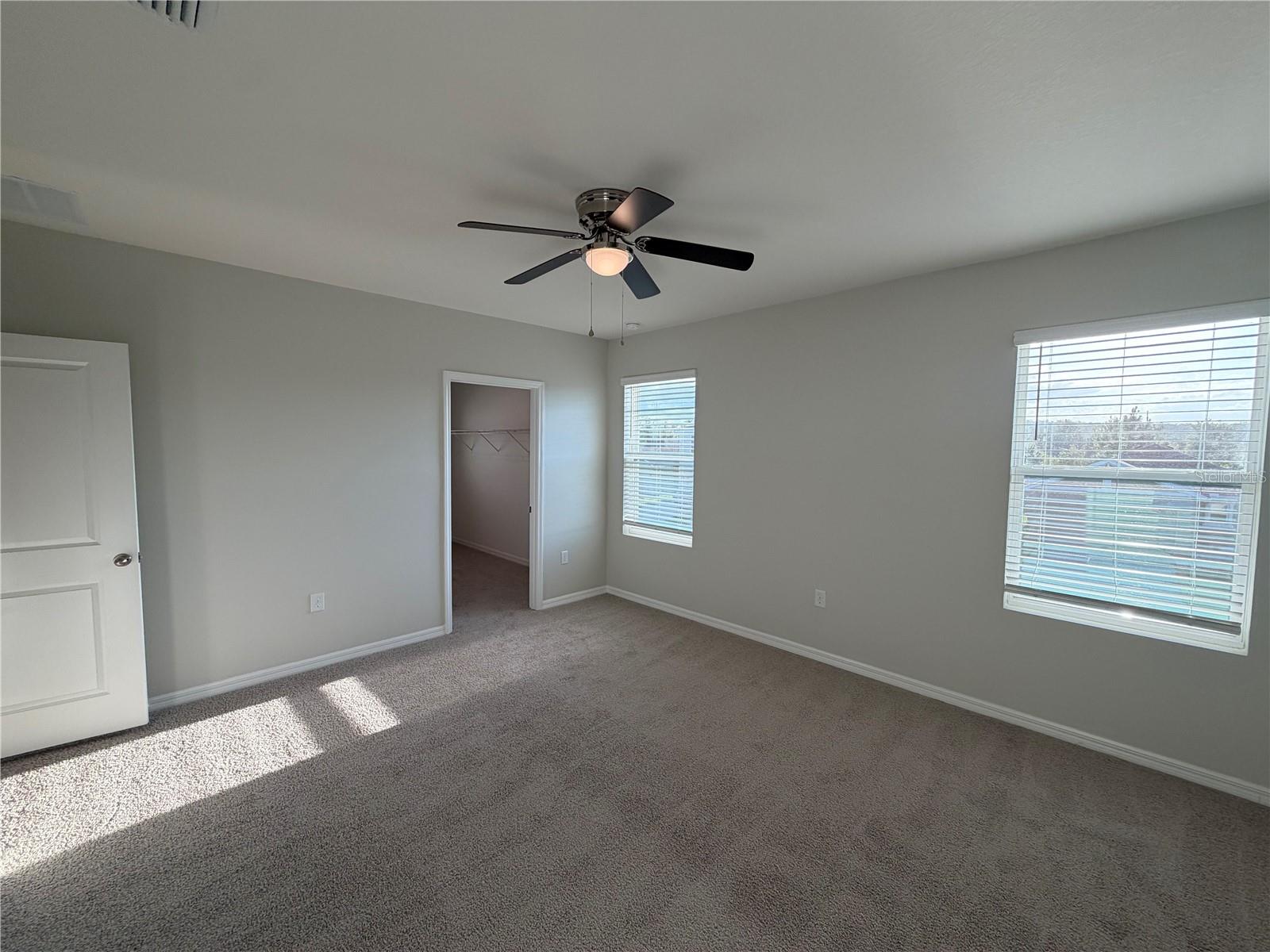 16176 SOFT FERN TRCE