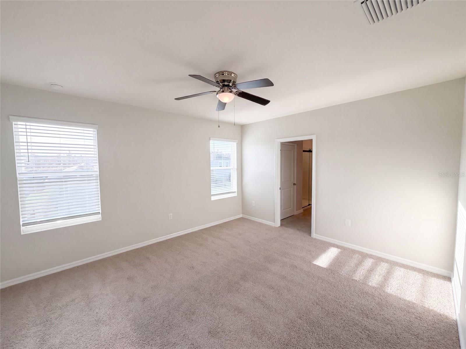 16176 SOFT FERN TRCE