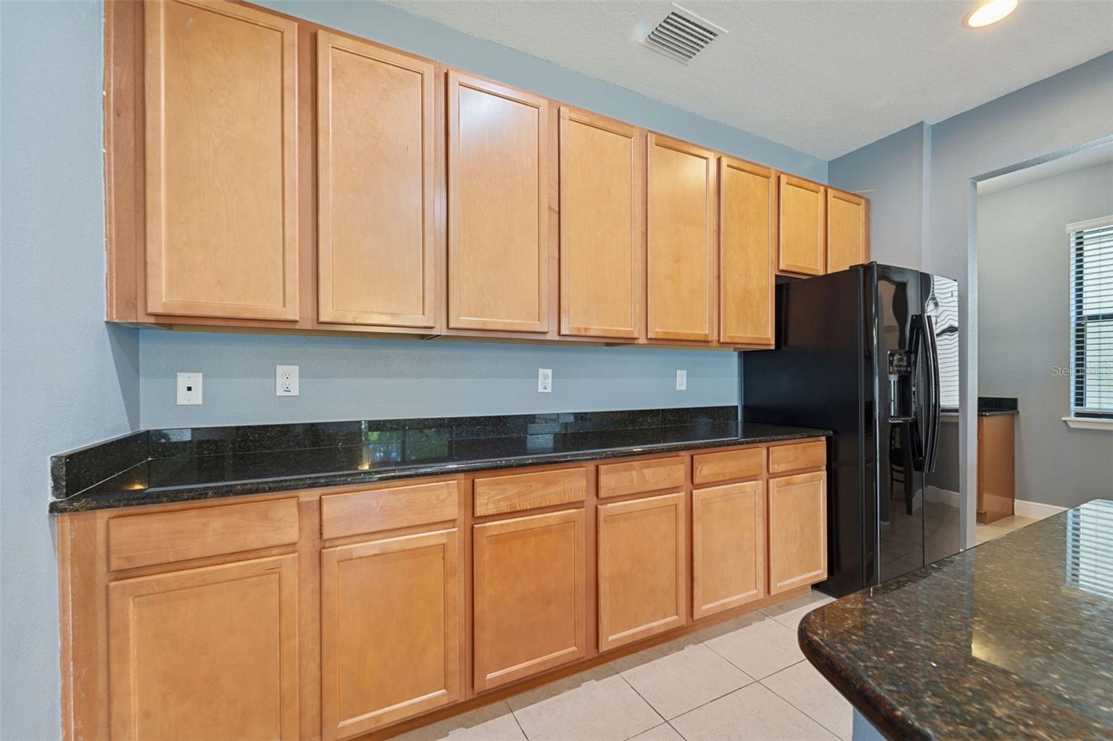 11006 TAHITI ISLE LN