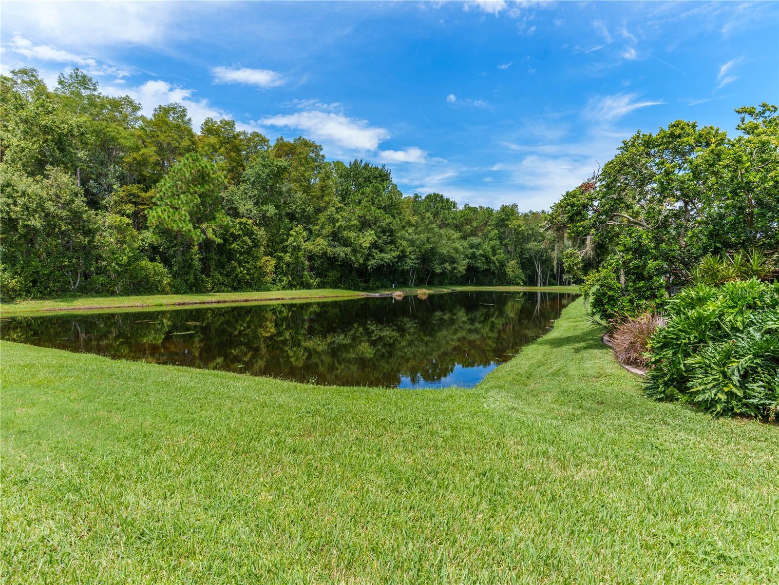 7709 TIMBERWYCK CT