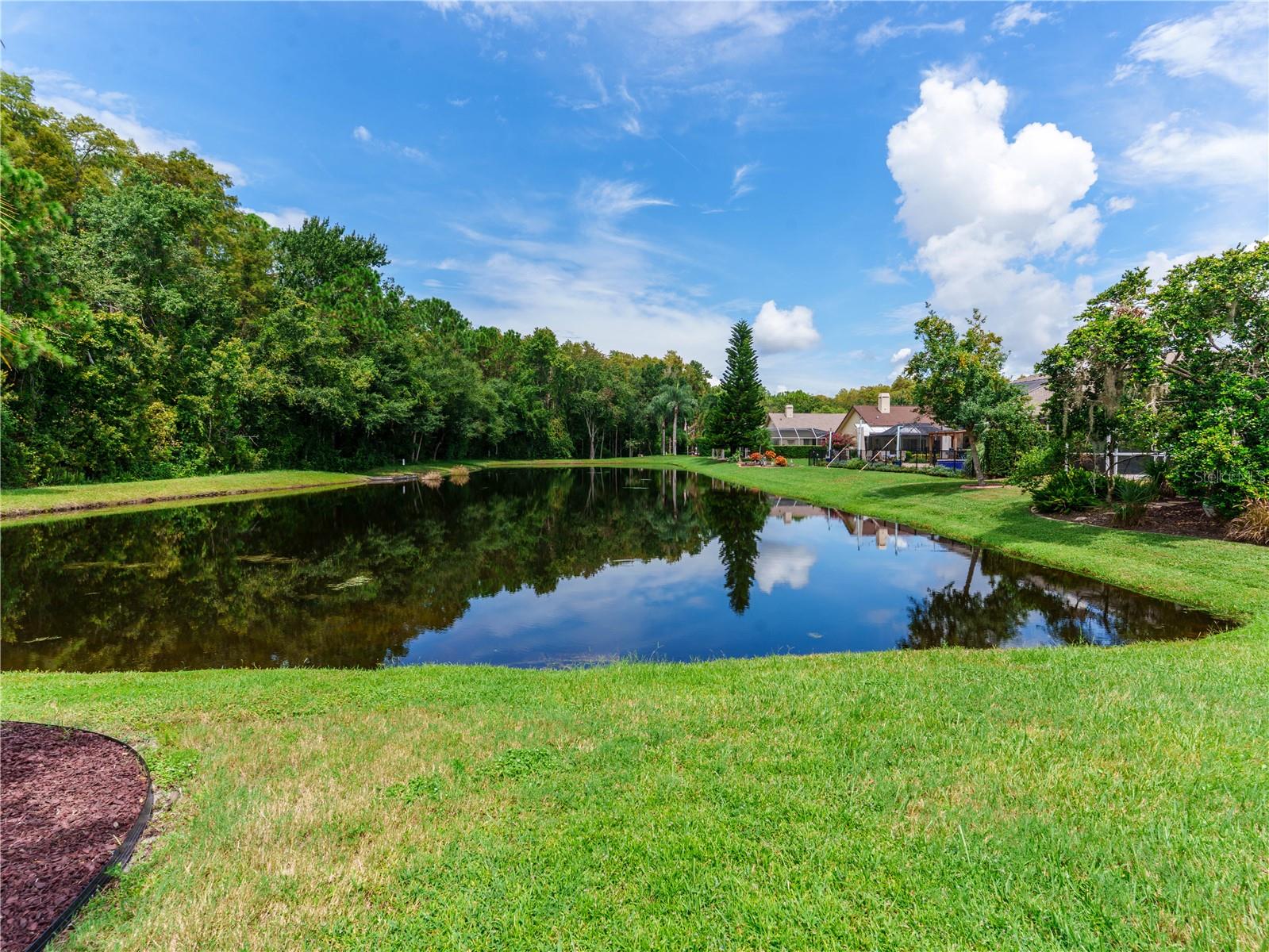 7709 TIMBERWYCK CT
