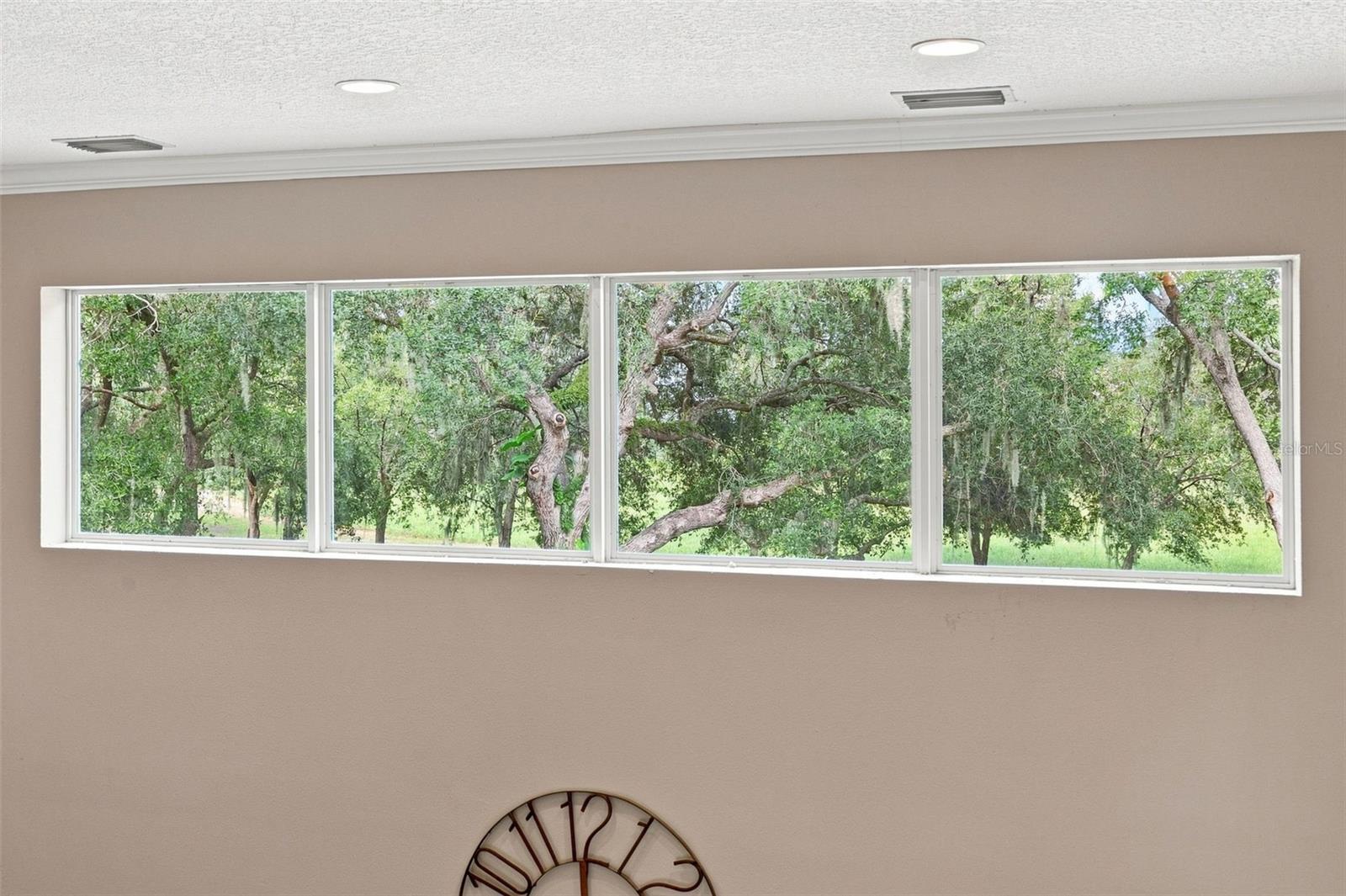 12754 SERONERA VALLEY CT