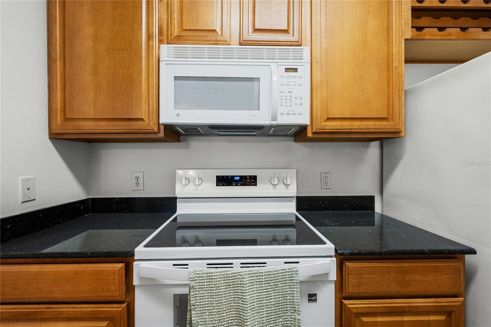 18525 BRIDLE CLUB DR #18525