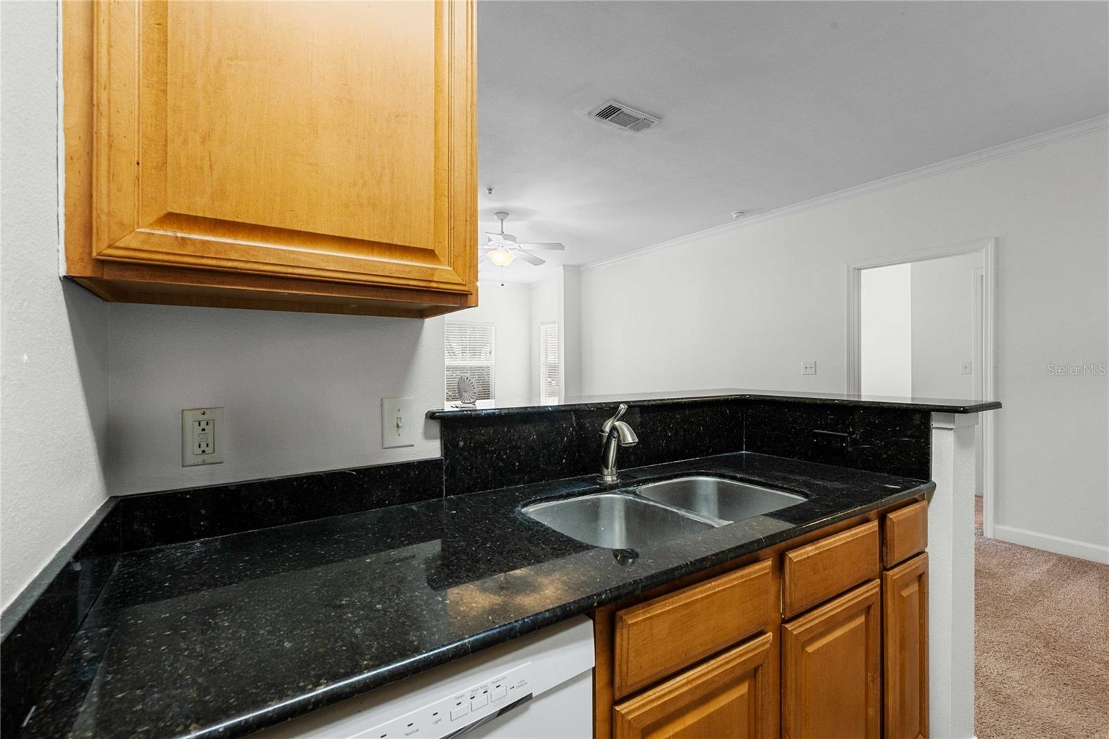 18525 BRIDLE CLUB DR #18525
