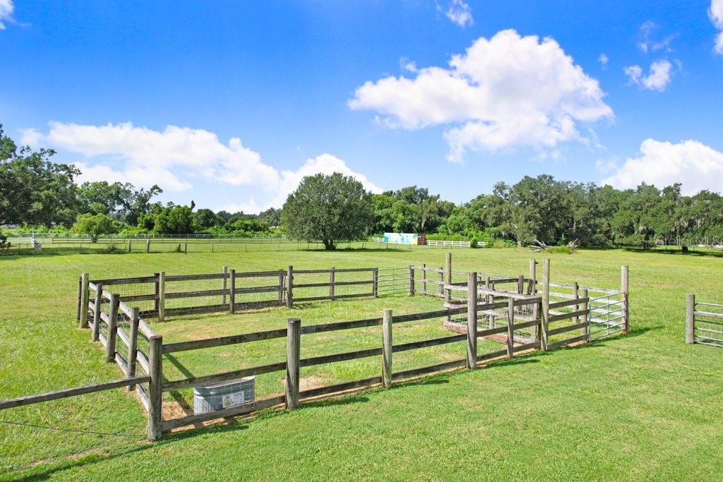 13221 TOM GALLAGHER RD