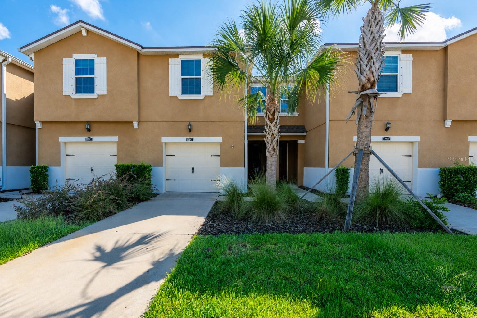 17847 Althea Blue Pl, Lutz