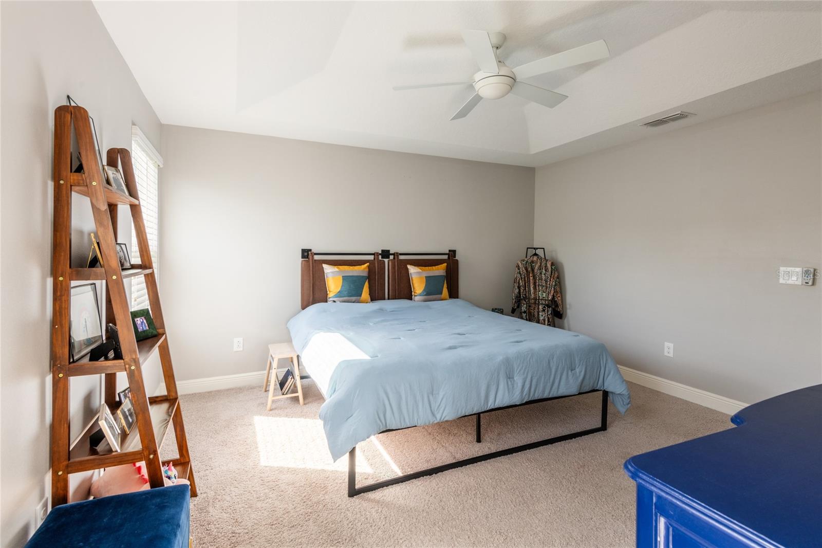17847 ALTHEA BLUE PL