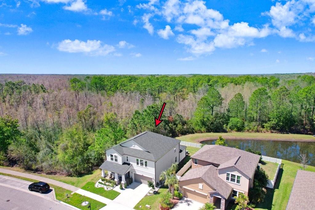 8721 SAVORY WALK DR