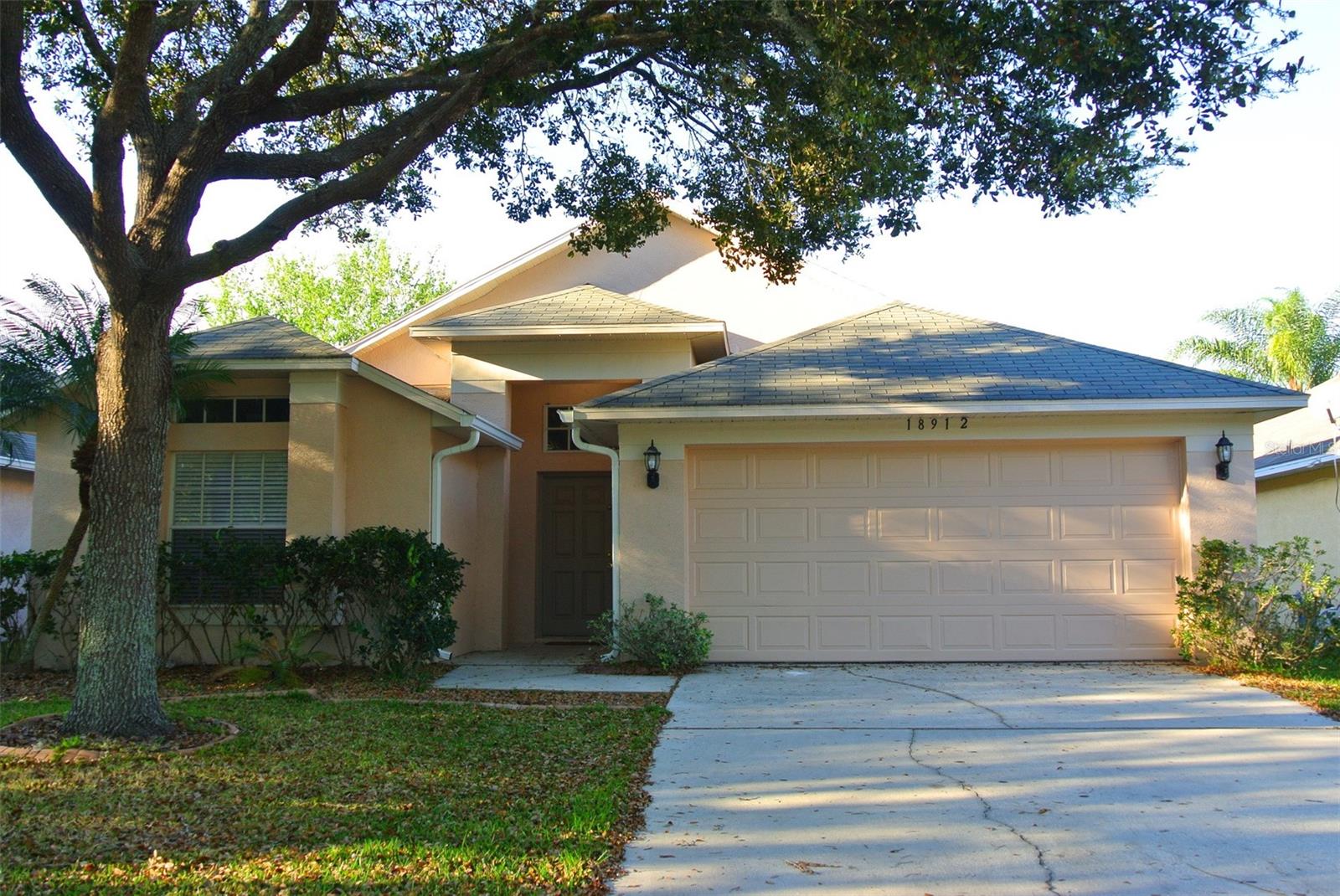 18912 Wood Sage Dr, Tampa