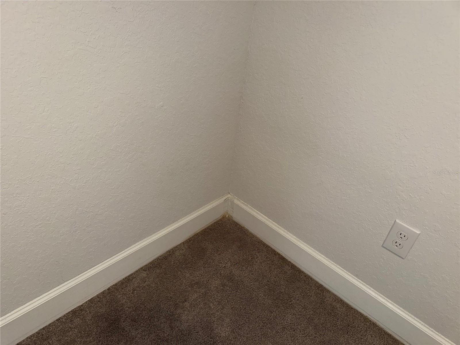 14921 TROPICAL VIOLET WAY