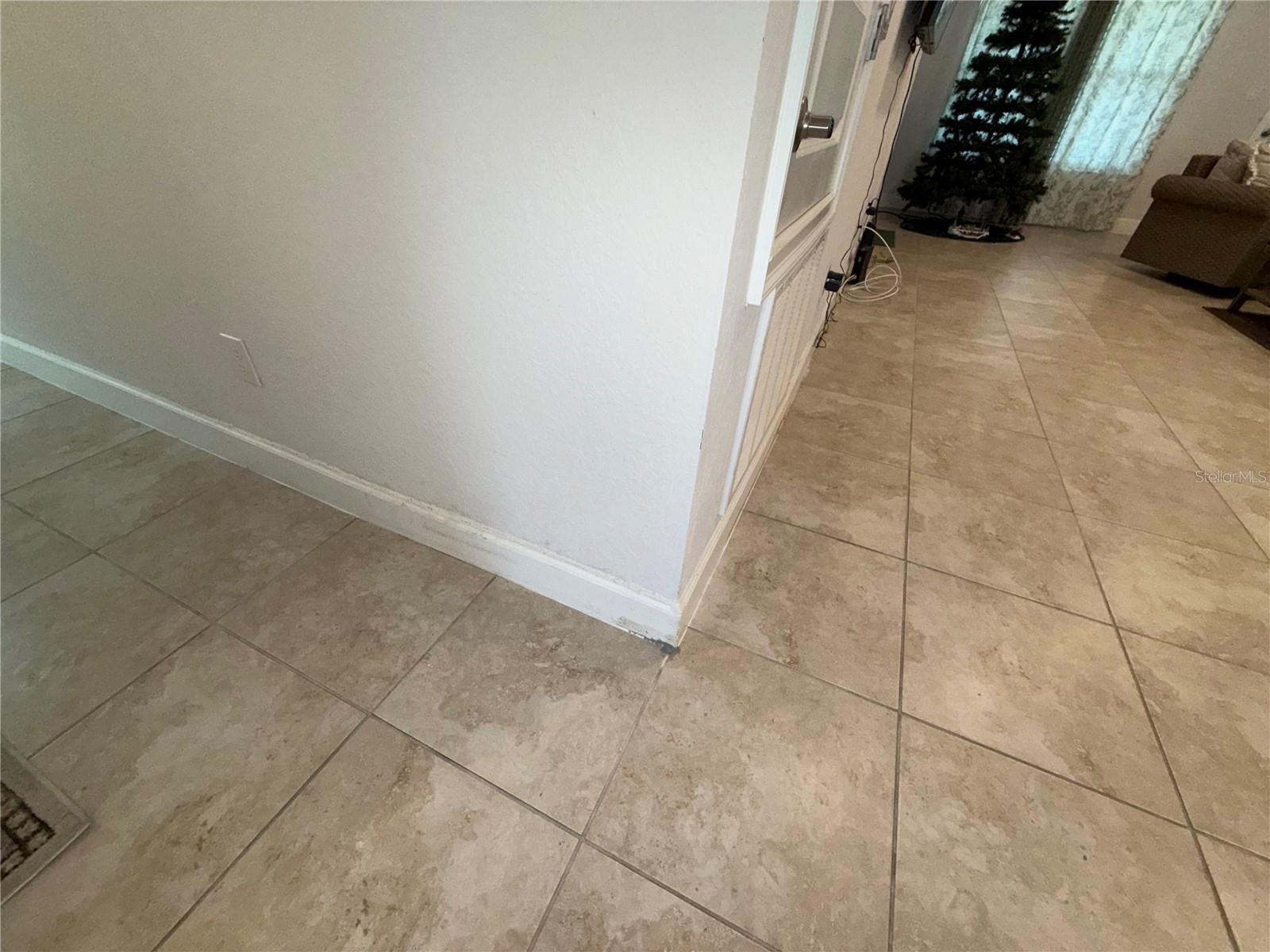 14921 TROPICAL VIOLET WAY
