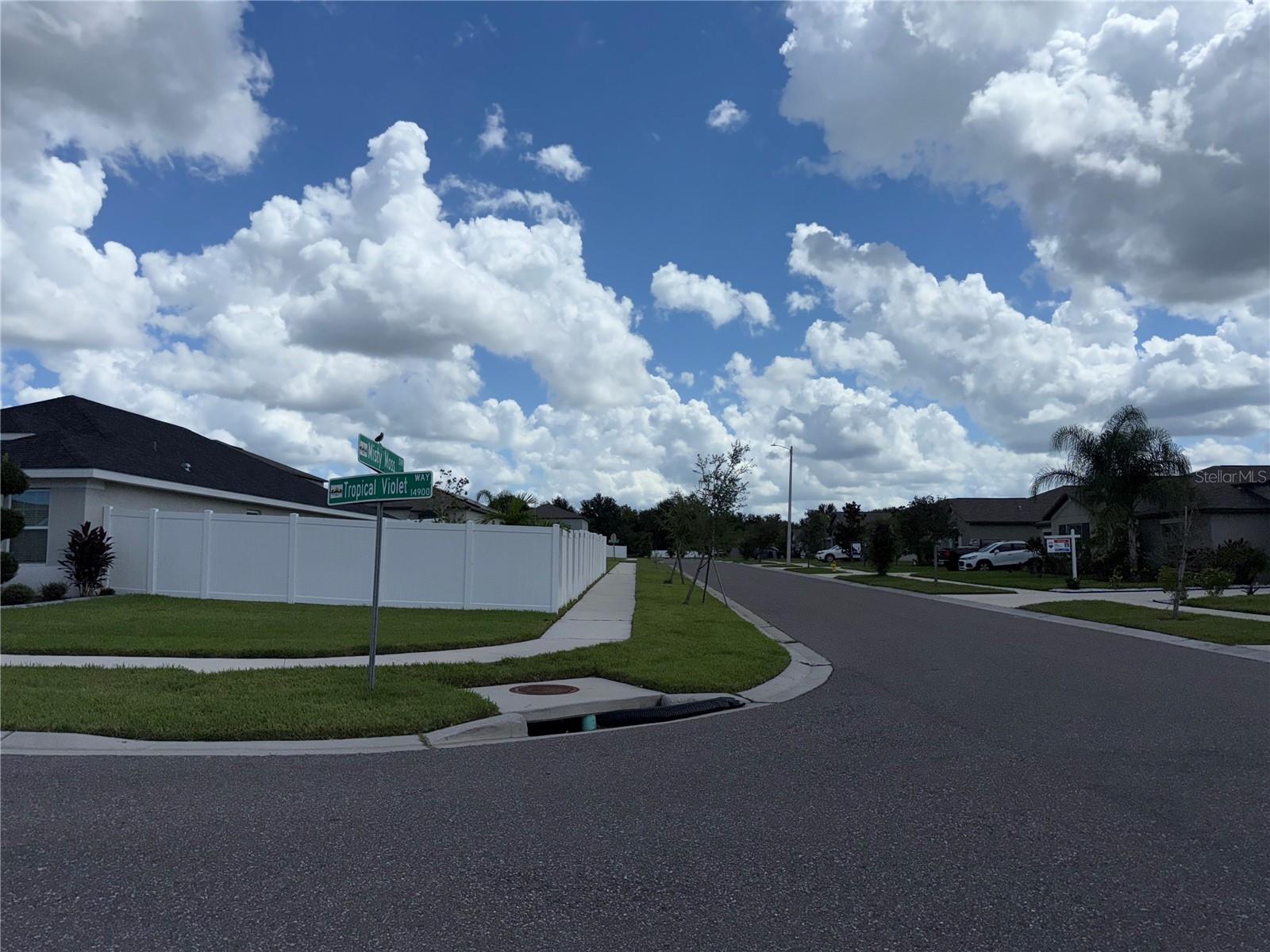 14921 TROPICAL VIOLET WAY