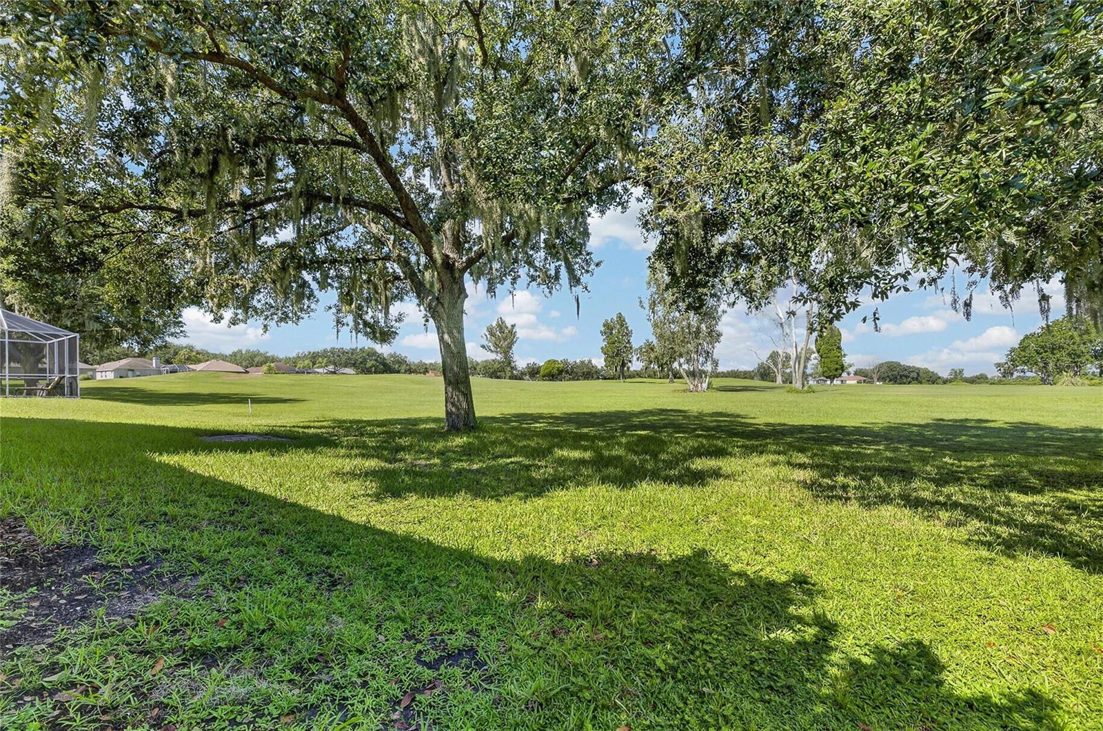 1438 EMERALD HILL WAY