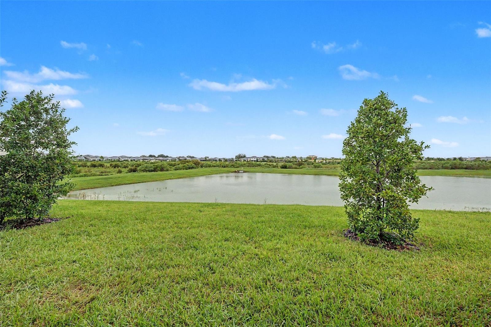 32172 CANNON RUSH DR