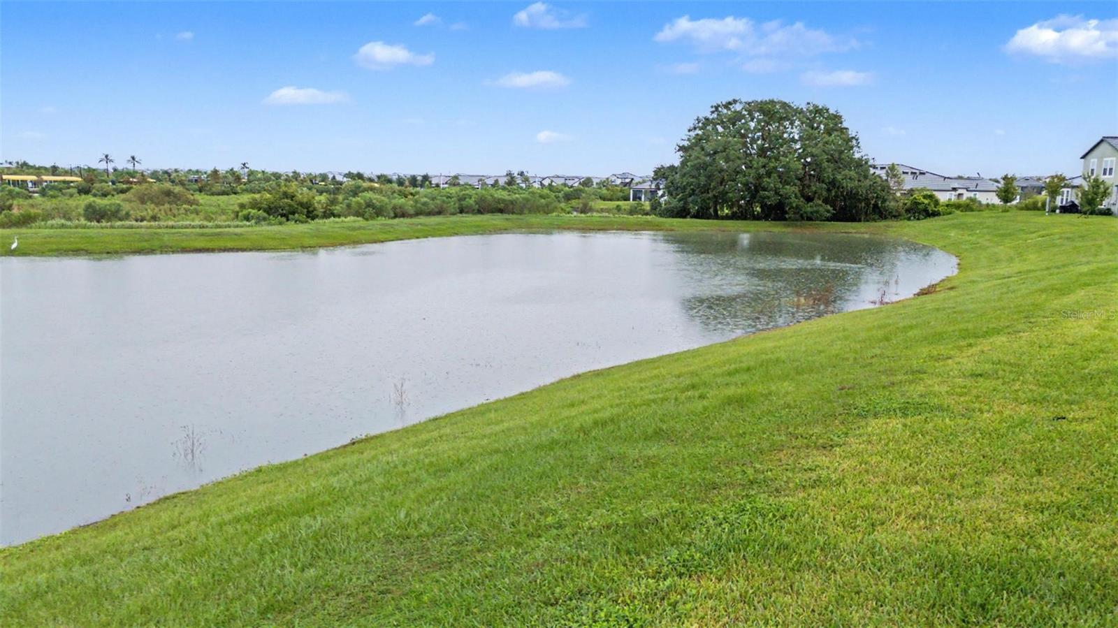 32172 CANNON RUSH DR