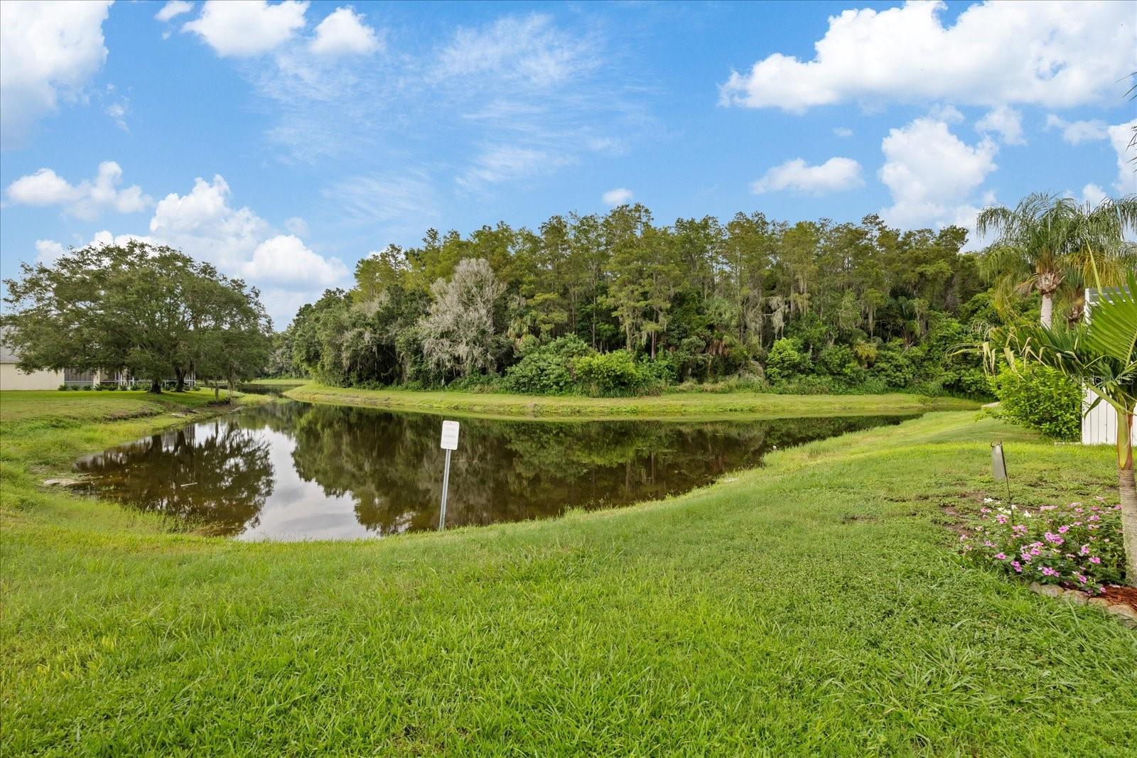 4320 STONES RIVER CT