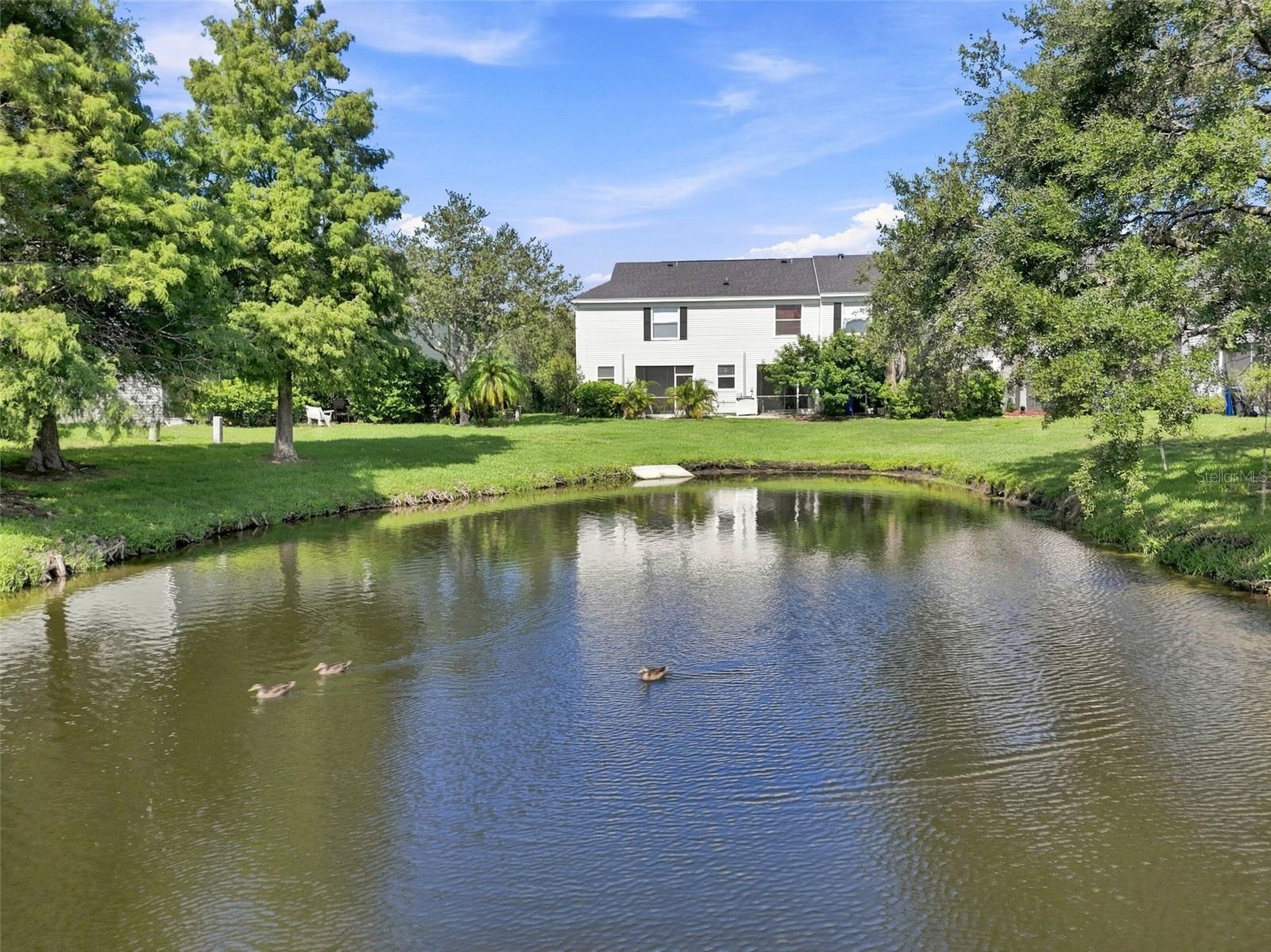 12225 COUNTRY WHITE CIR