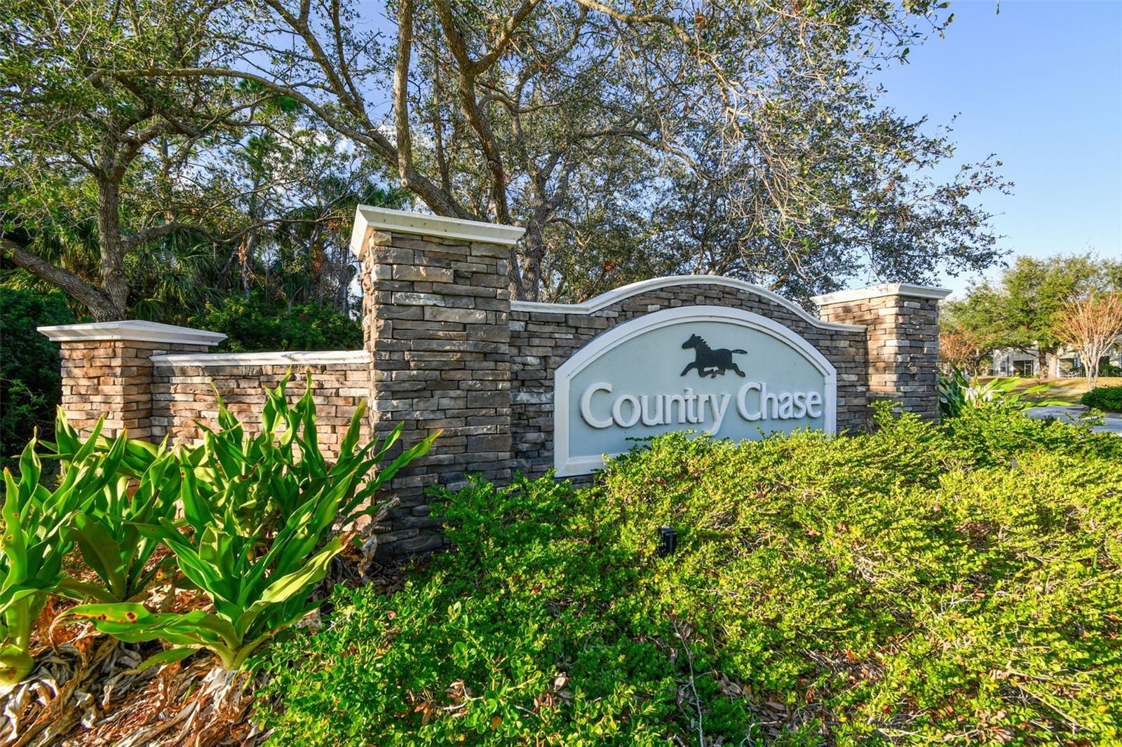12225 COUNTRY WHITE CIR