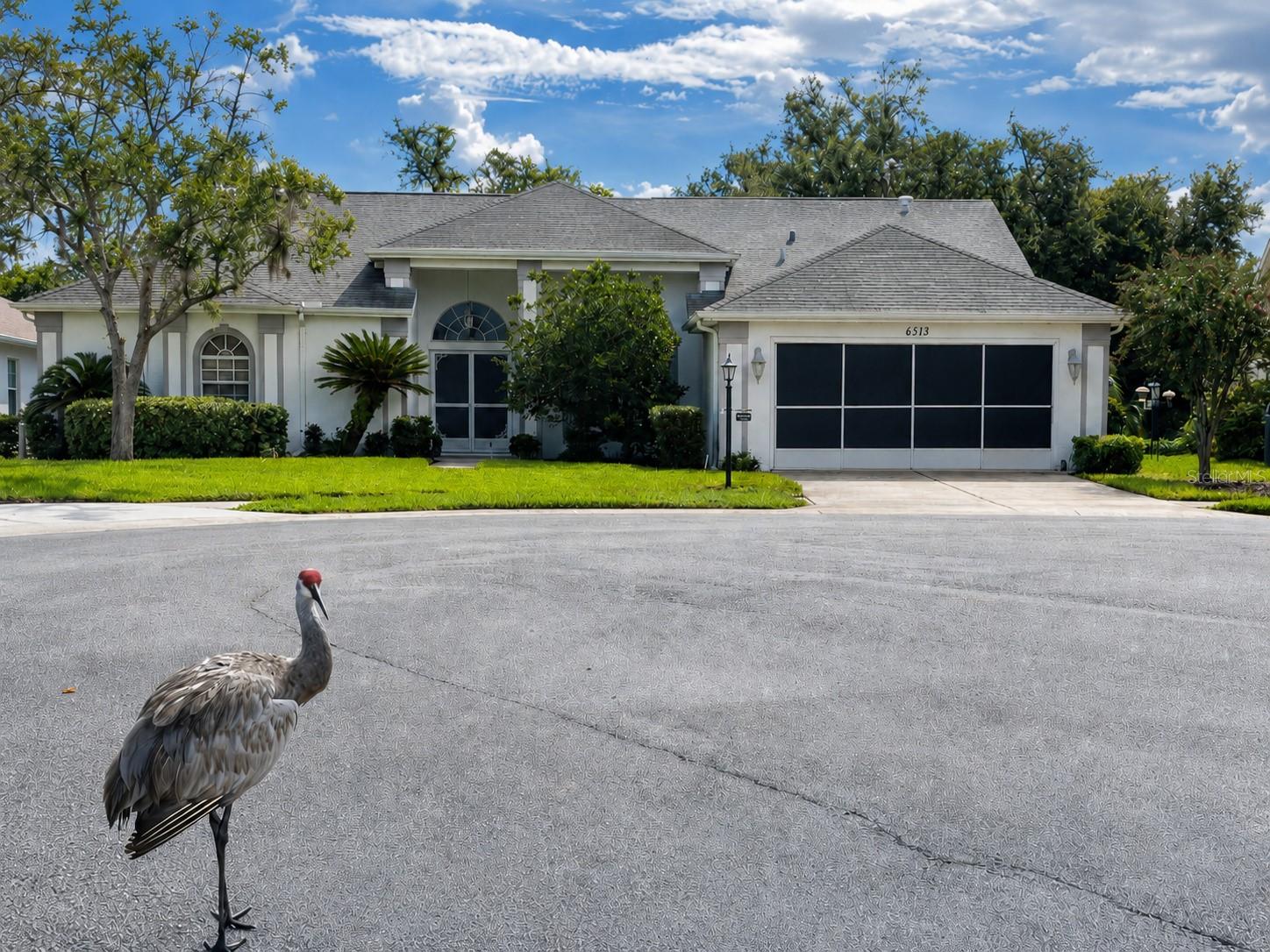 6513 Cardinal Crest Dr, New Port Richey