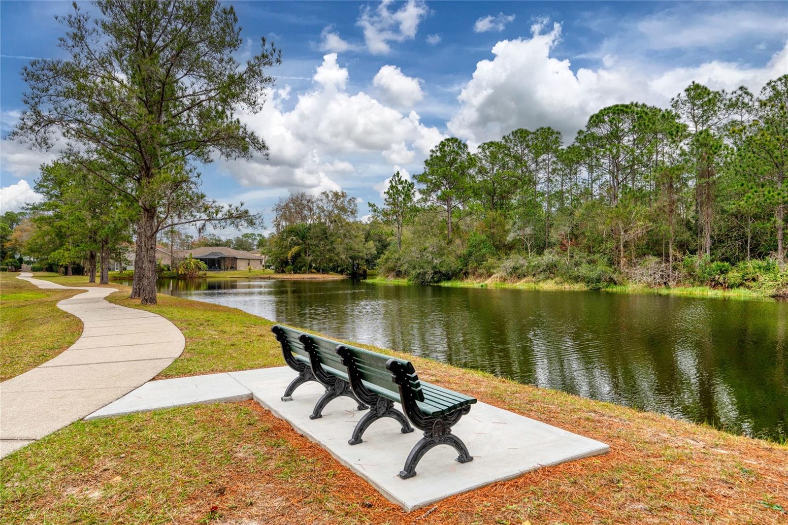 16306 WILD MALLARD DR