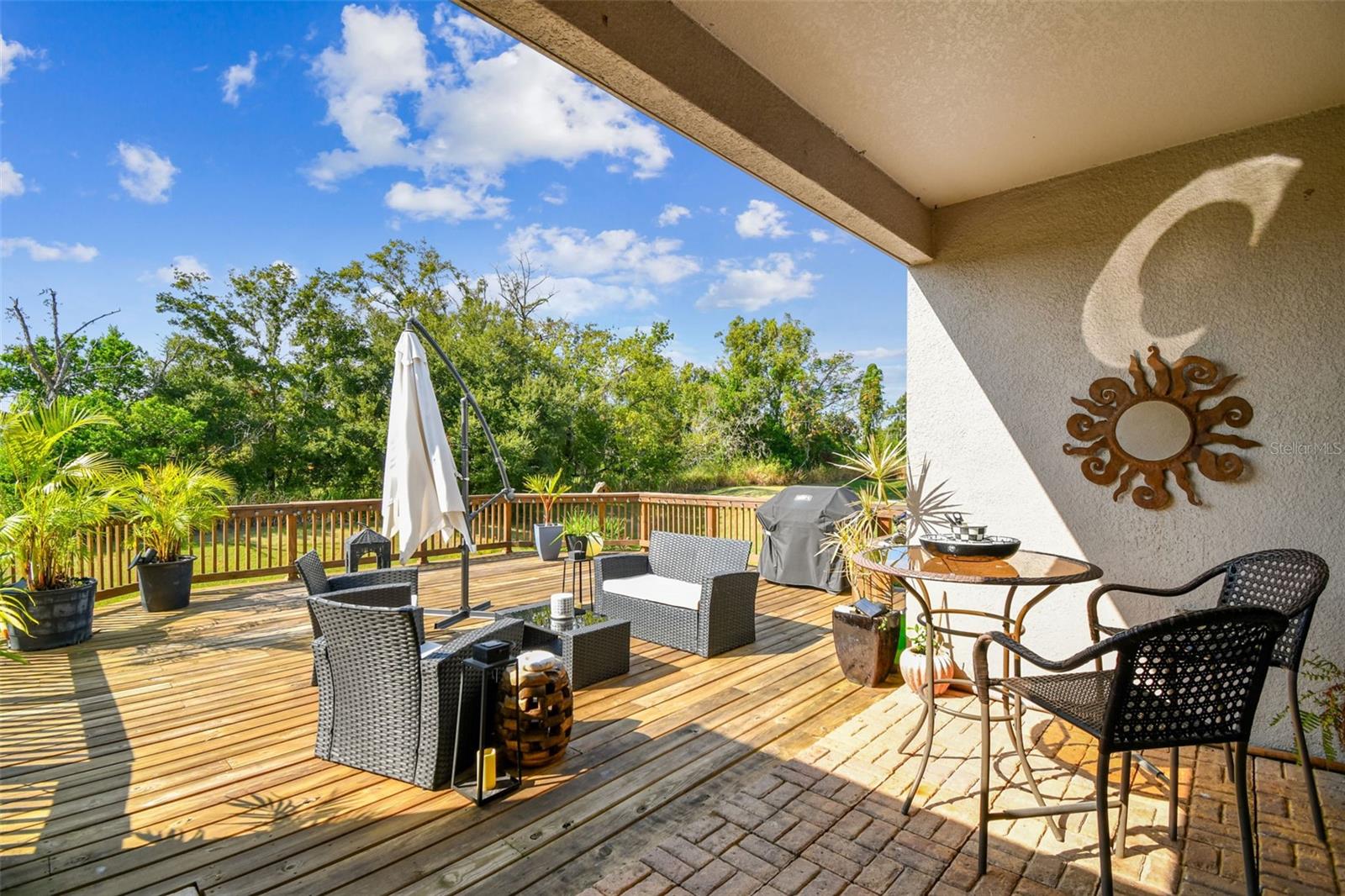 1039 DAVIS HEATHER CIR
