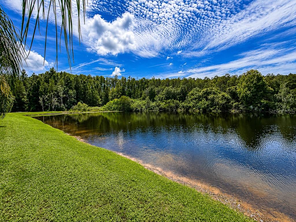1637 ABYSS DR