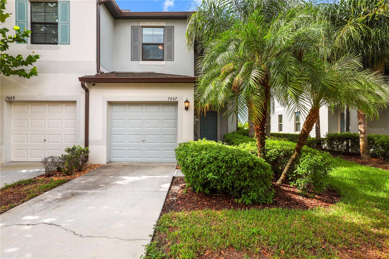 7667 GINGER LILY CT