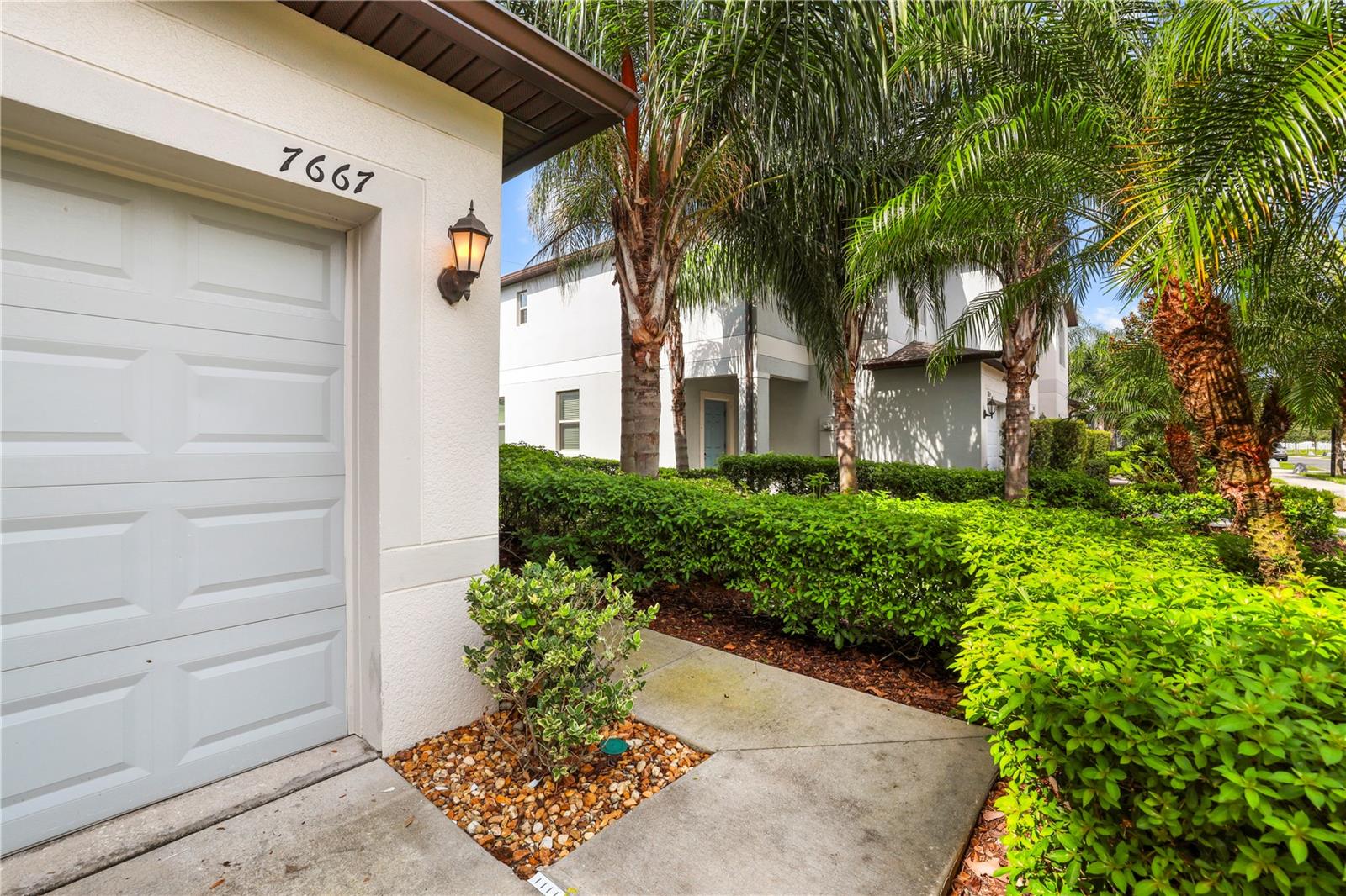7667 GINGER LILY CT