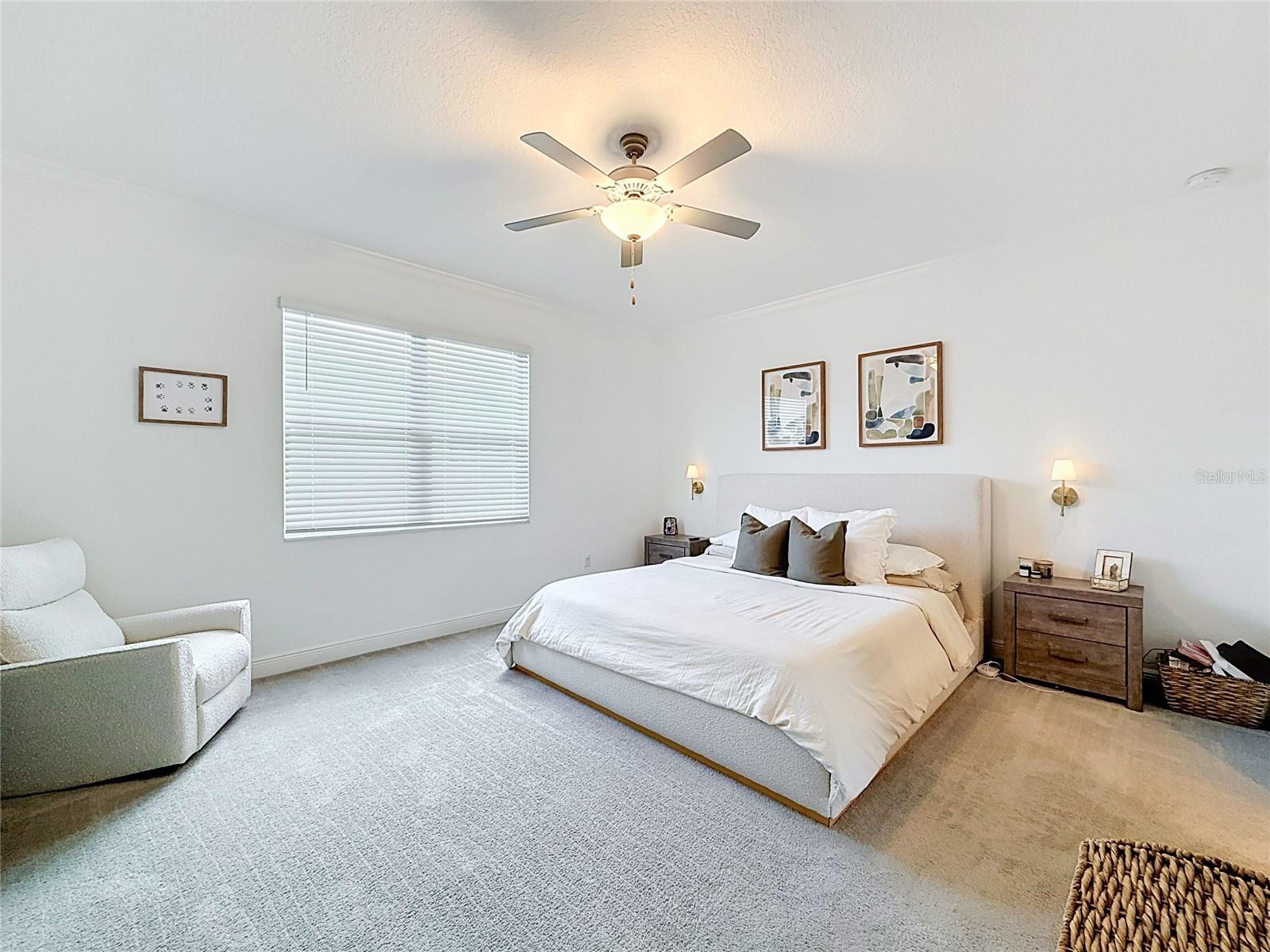9962 CAMPANULA CT