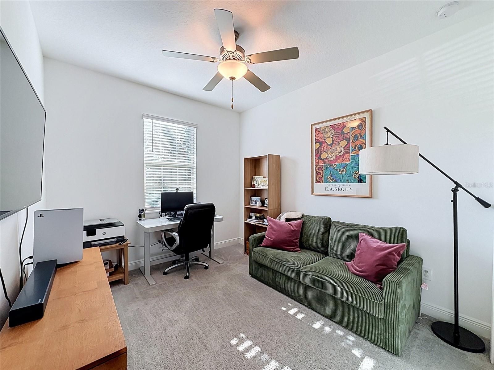 9962 CAMPANULA CT