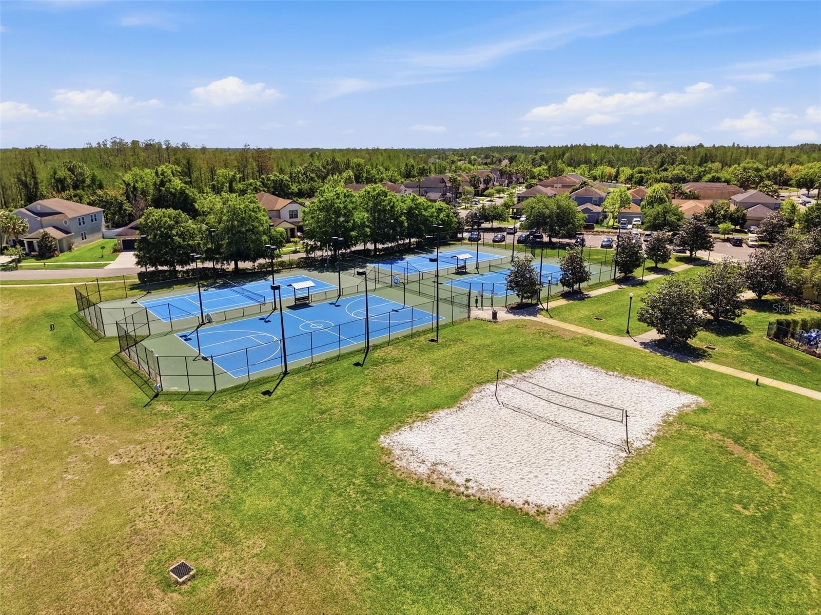 9962 CAMPANULA CT