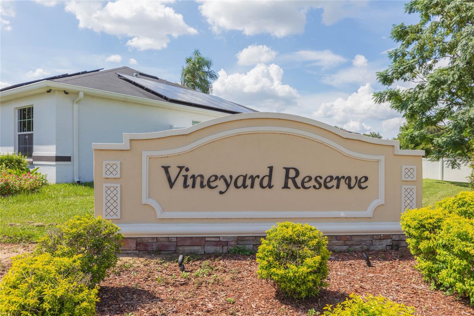 719 VINEYARD RESERVE CT